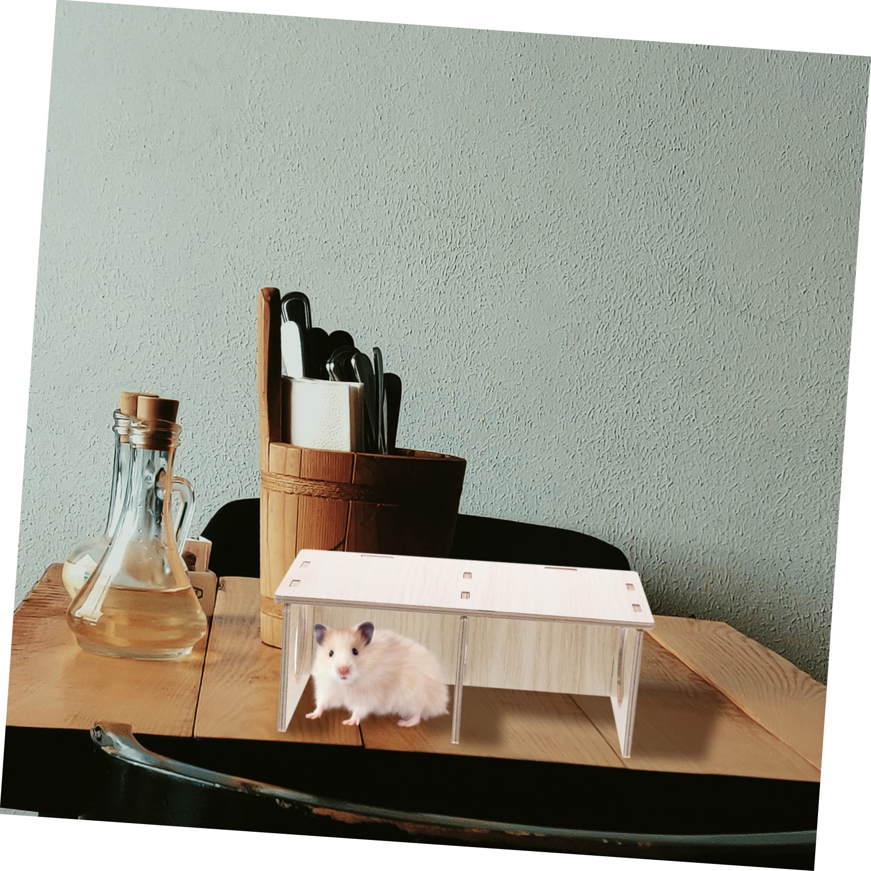 Ipetboom Legno Casetta per Design Trasparente Due Stanze, Criceti