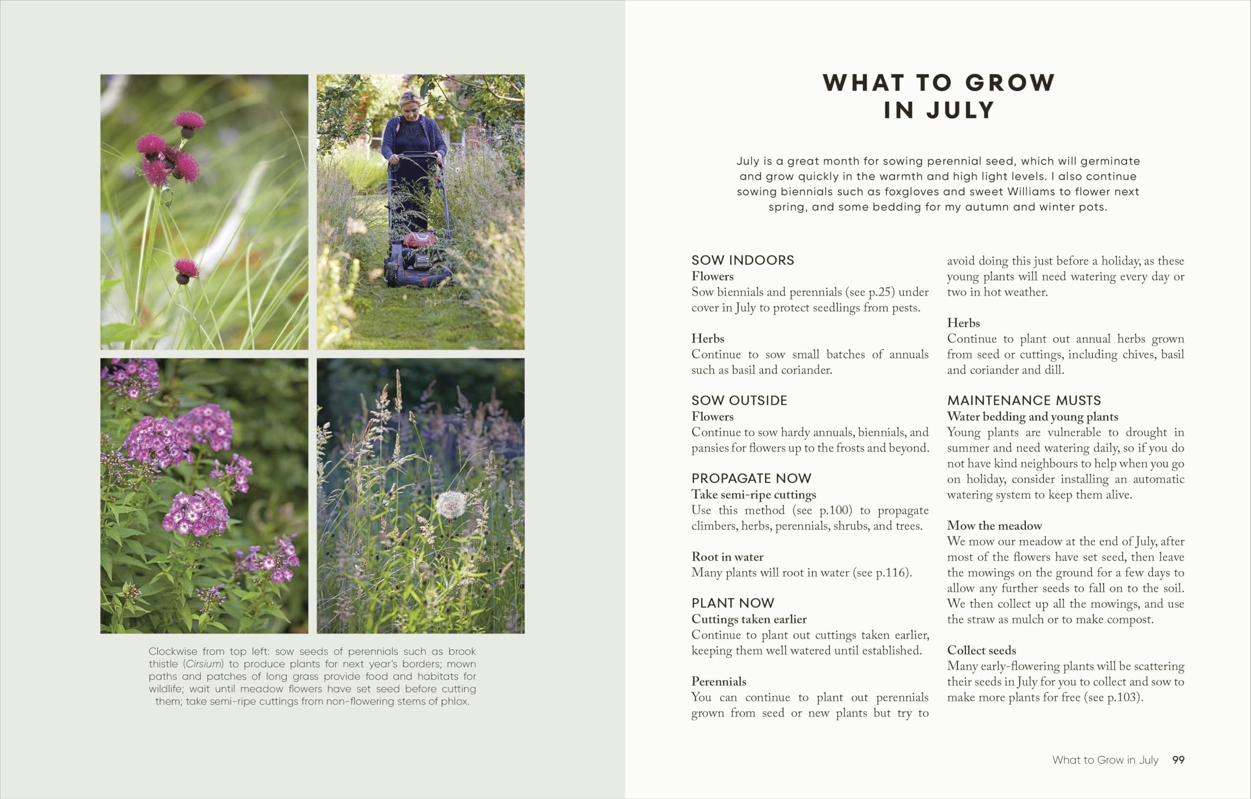 The Money-Saving Garden Year: A Month-by-month Guide to a Great Garden that Costs Less