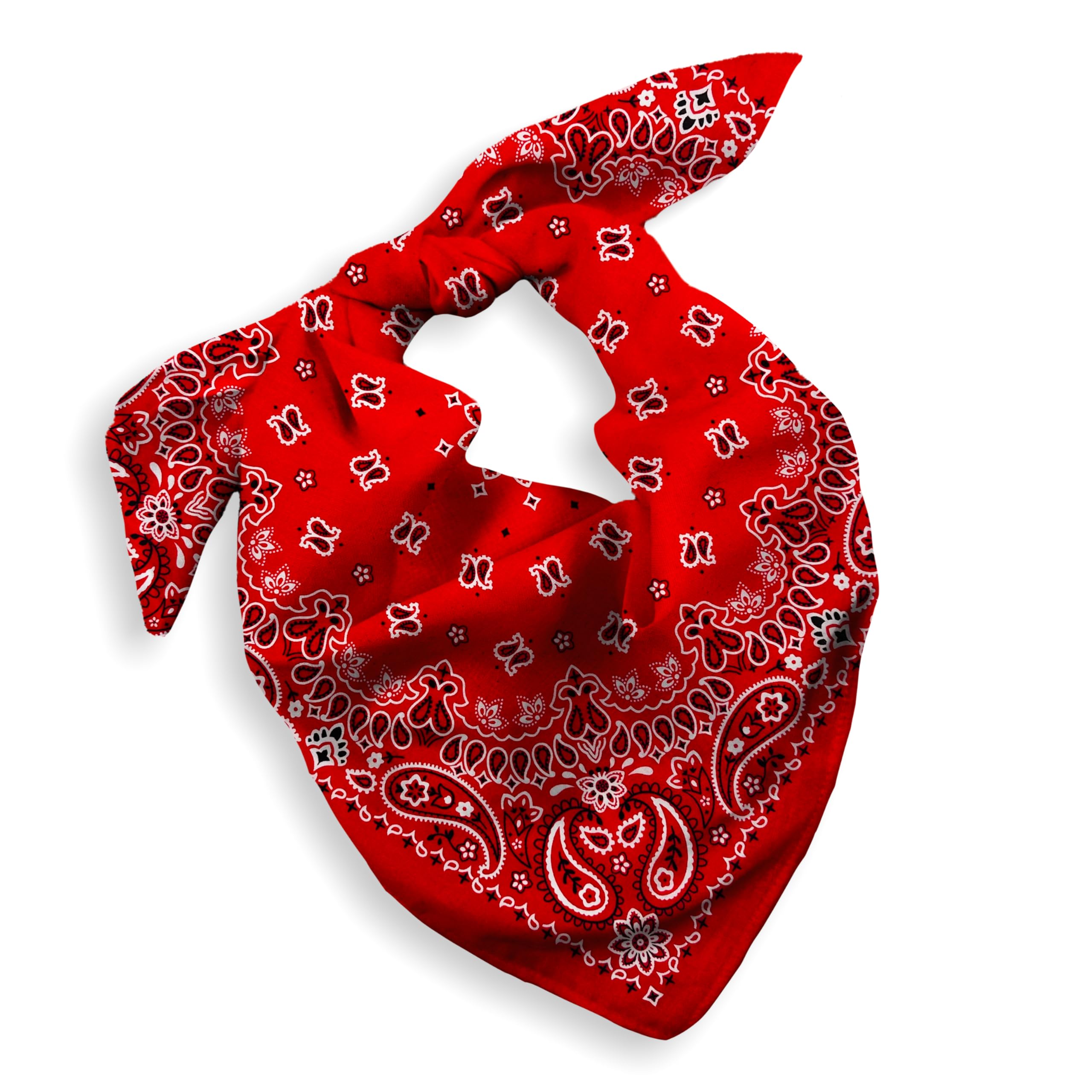 EVERY-VILLE Where EVERYone is WelcomeEVERY-VILLE Where EVERYone is Welcome 1 Pack Cotton Bandana for Women Men Gift Packaging - Cowgirl Cowboy Accessory Headband Scarf Neckerchief - Large Paisley Hair Face Covering