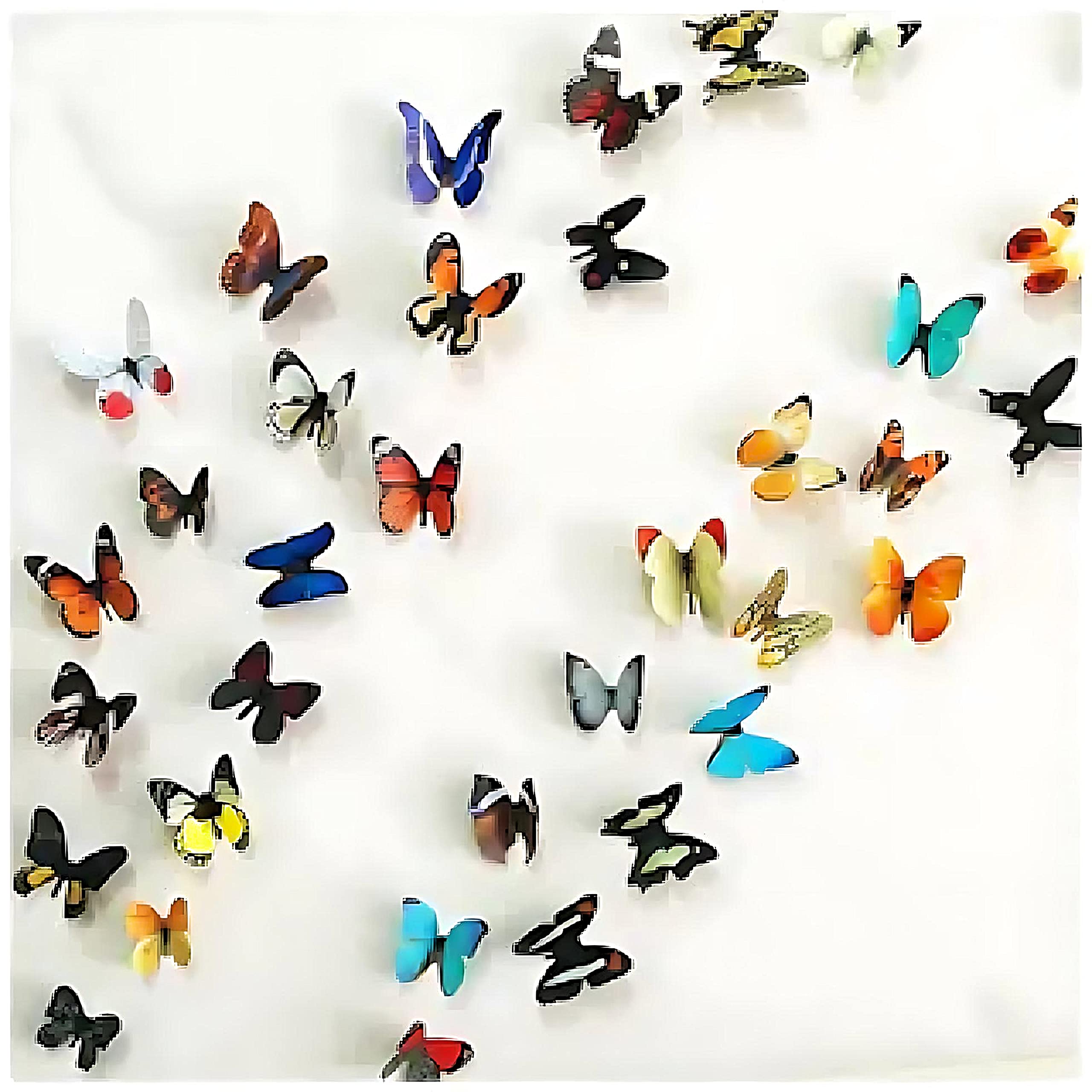 JAAMSO ROYALS Multicolor 3D Butterflies Butterfly Stickers for Wall, Butterfly Decoration Items, Butterfly Stickers, Butterfly Wall Decor, Butterflies, Butterflies for Wall Decoration (21 cm x 30 cm) (B0716GKZJ9) Amazon Price History, Amazon Price Tracker