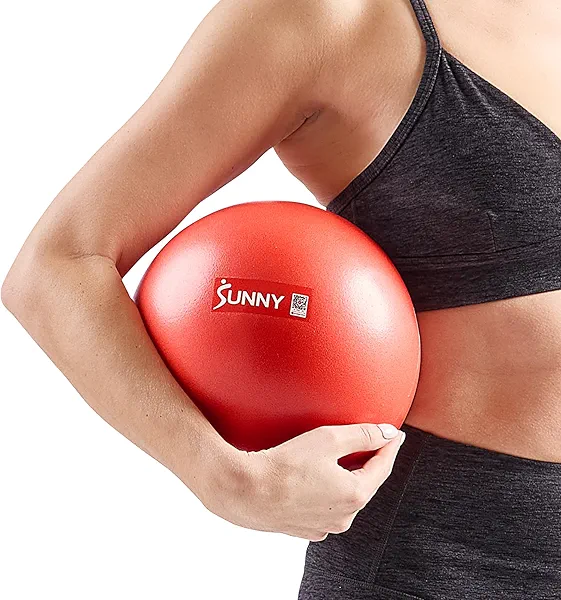 Sunny Health & Fitness Premium Anti-Burst Exercise Balls for Core Strength, Yoga, Pilates, Barre, Physical Therapy, Balance, Flexibility Non-Slip & Odorless