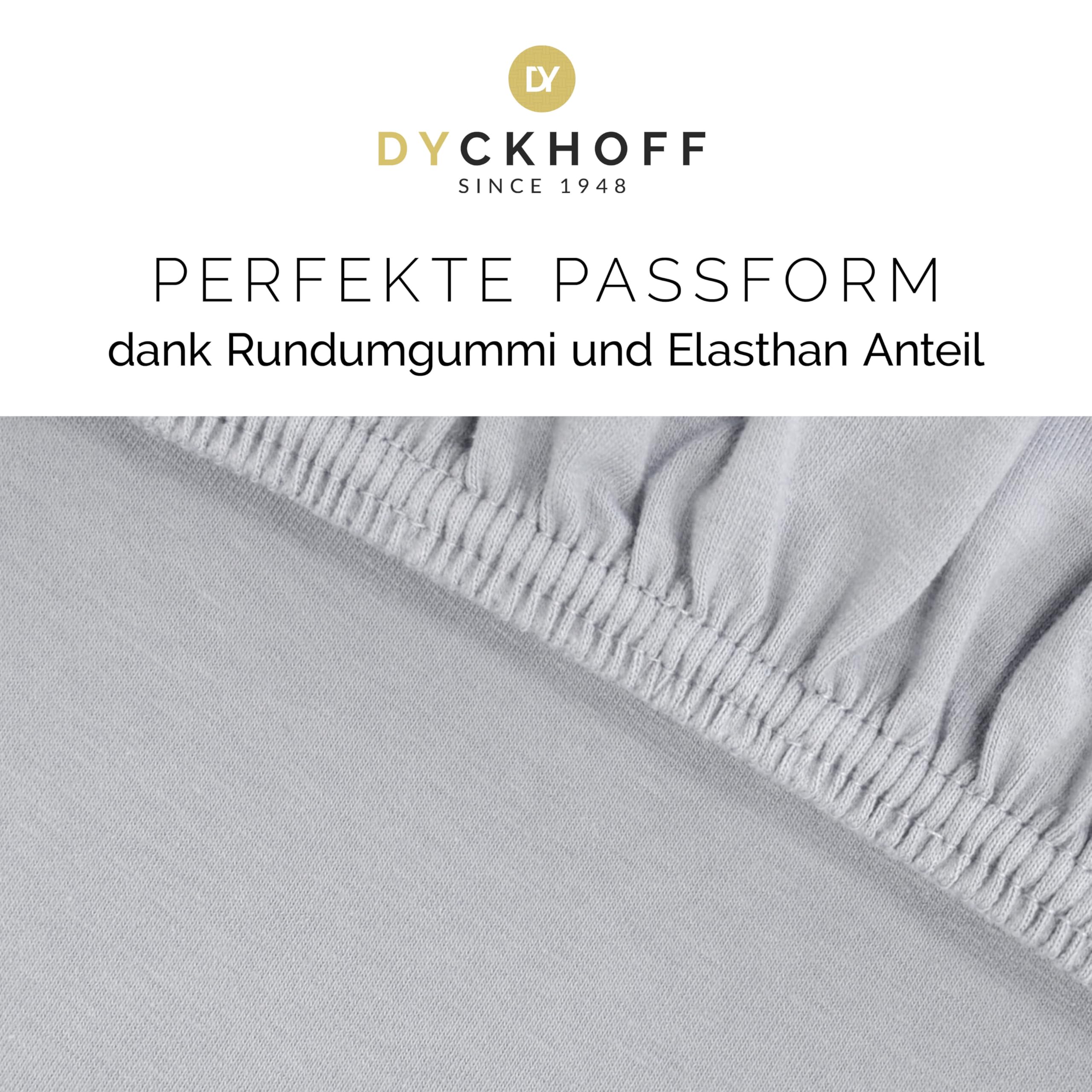 Dyckhoff Spannbettlaken Jersey 95% Baumwolle, Silber, 180-200x200cm