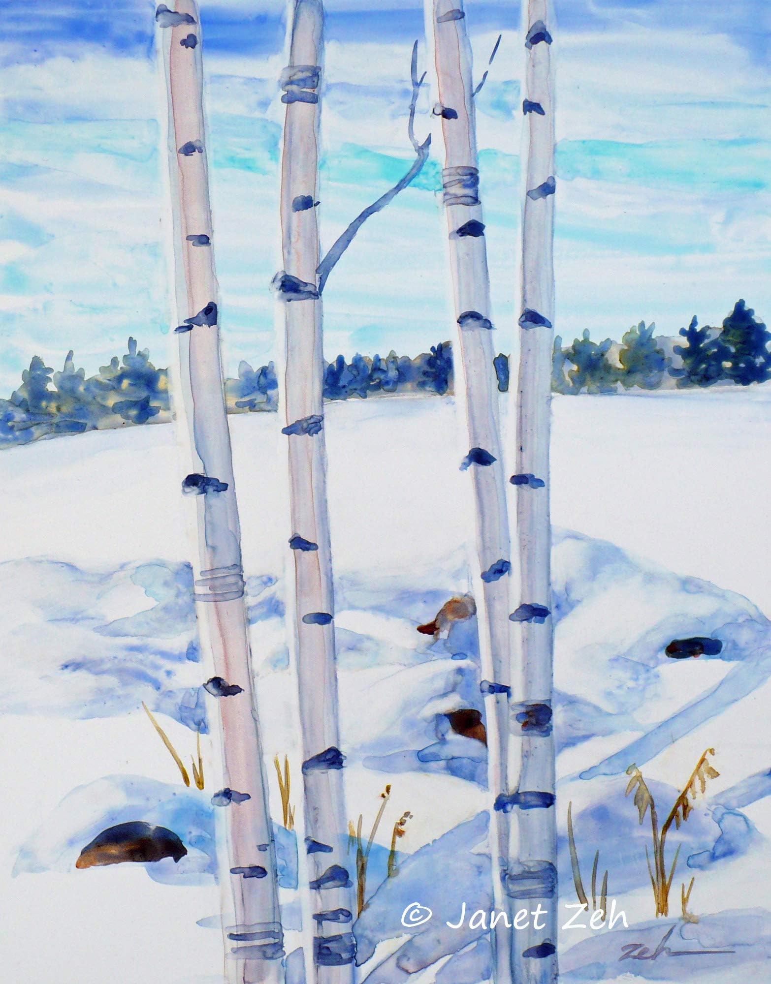 White Birch Trees in Winter Original Watercolor Painting 11x14 Unframed Art on Yupo by Janet Zeh