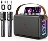 HWWR Karaoke Machine with 2 Microphones - 2.4G Wireless Mics, Portable Bluetooth PA Speaker for Adult with LED Party Lights for Home Outdoor Party Garden BBQ, support TF Card/USB/AUX Input