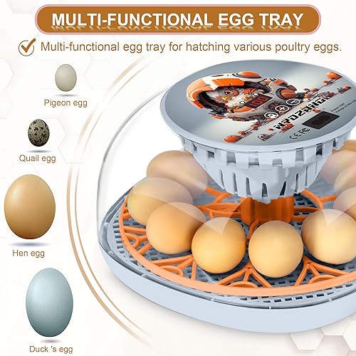 Miniatura 9 de WYD2ANG Incubadoras inteligentes de pollo para incubar huevos con volteador automático, aves, pato, codorniz, incubadora de 12 huevos, pantalla de