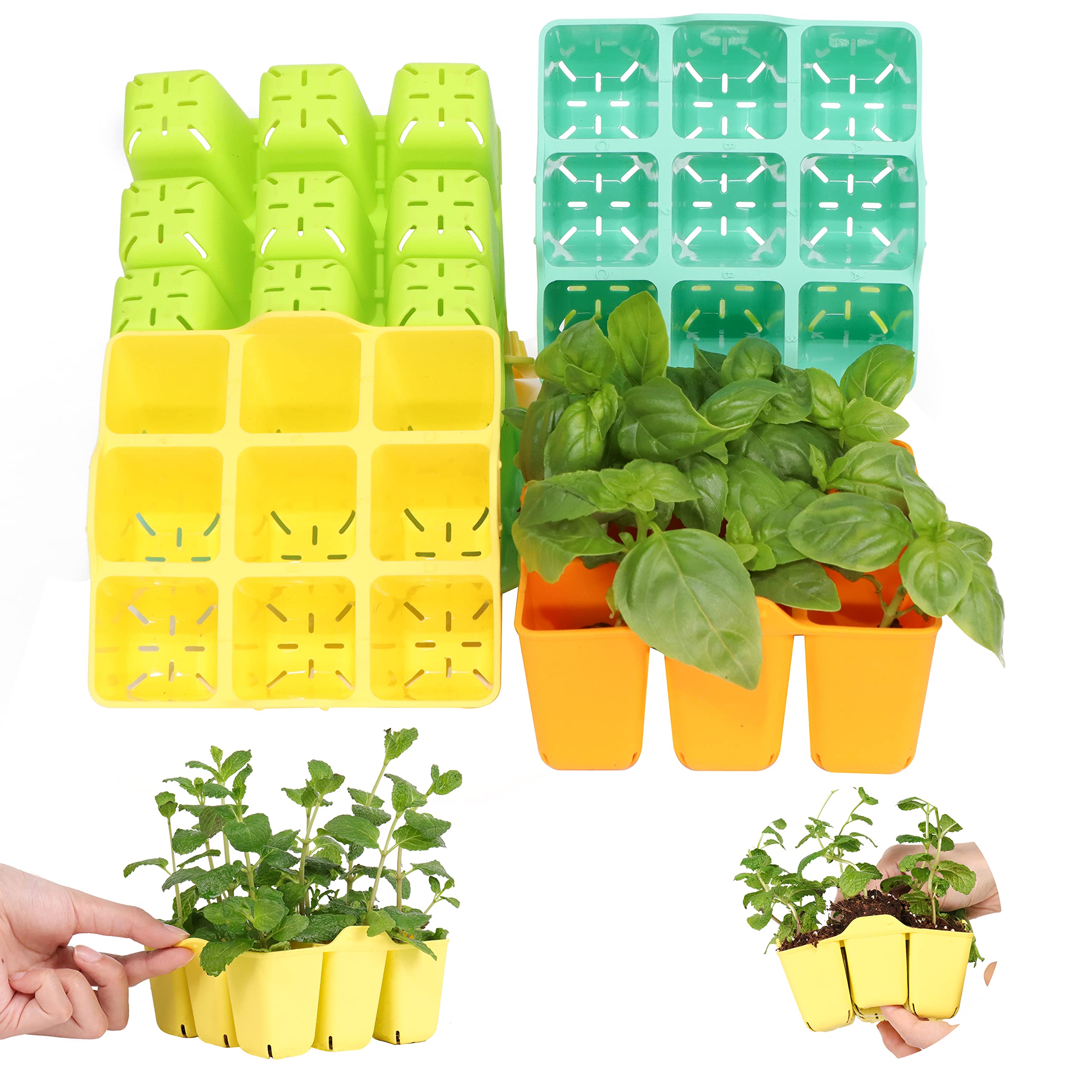 Buy LAWNFUL 4 Packs Colorful Seedling Starter Trays, Silicone Seed