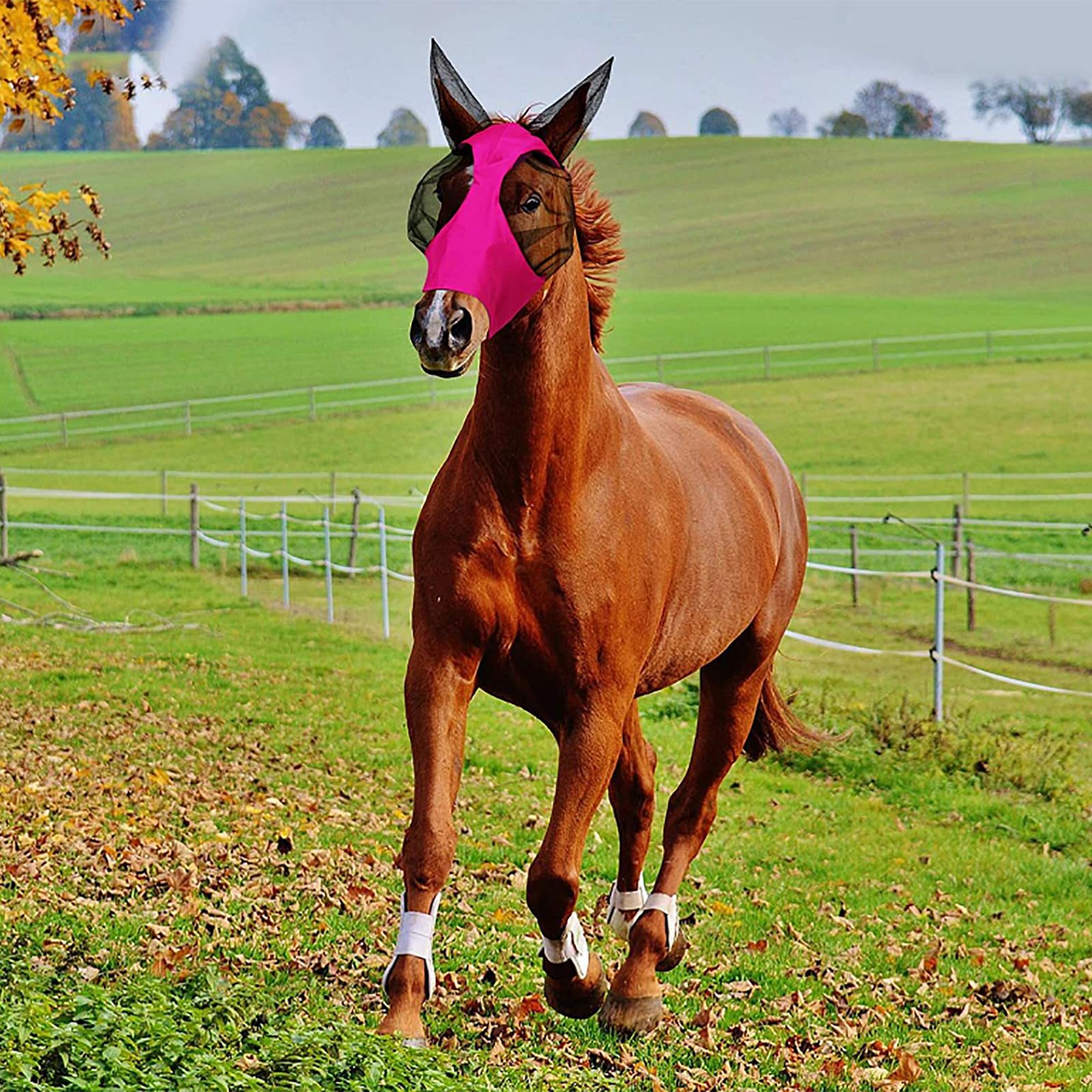 Máscara Antimoscas para Caballos 6piezas,máscara Antimoscas Elástica con Orejas,Cara Cómoda,Transpirable Y En Forma,Proporciona Un 60% protecciónsolar Y 100% antimosquitos,para Hipódromo Granja
