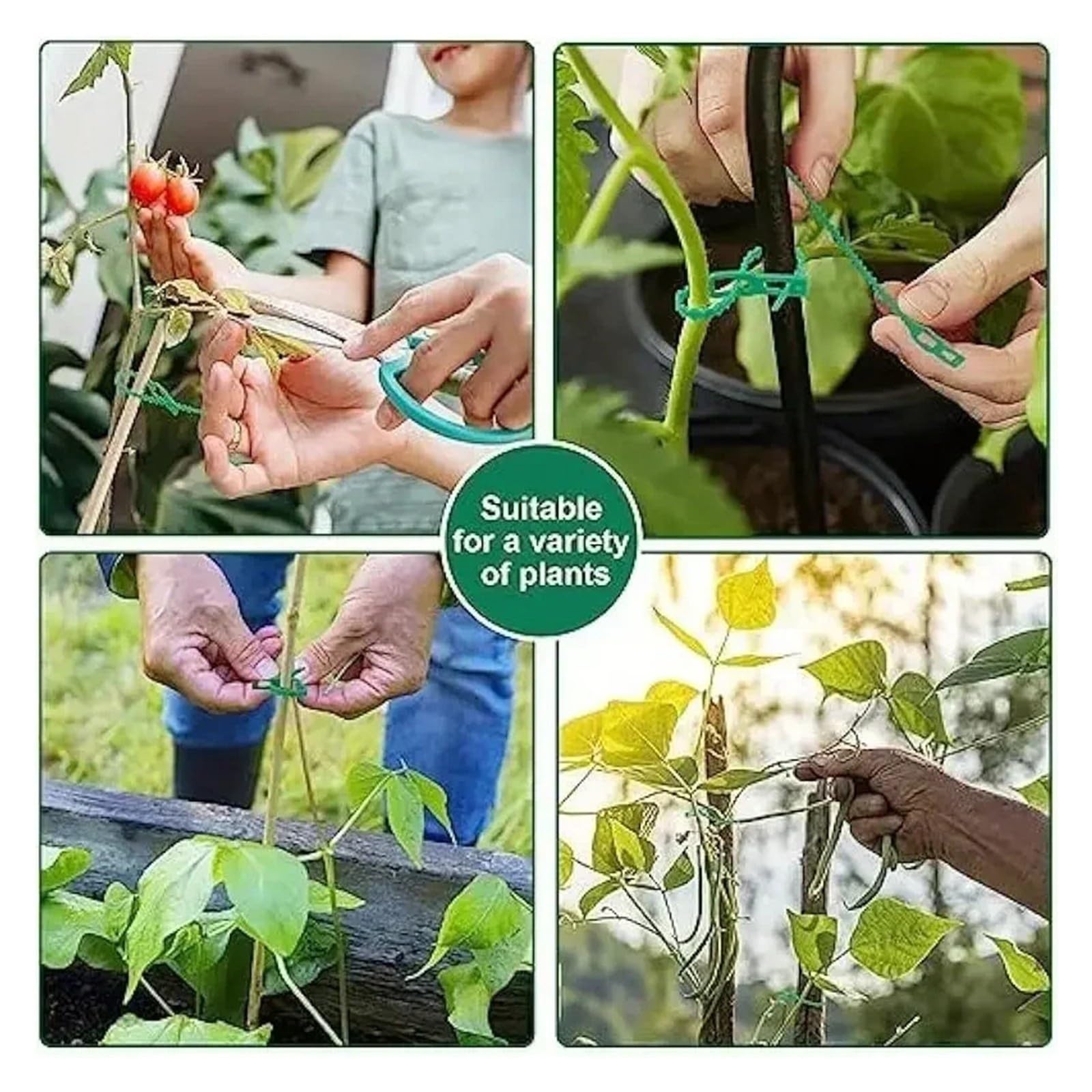Plant Vine Tree Shrubs Support Fastener Locking