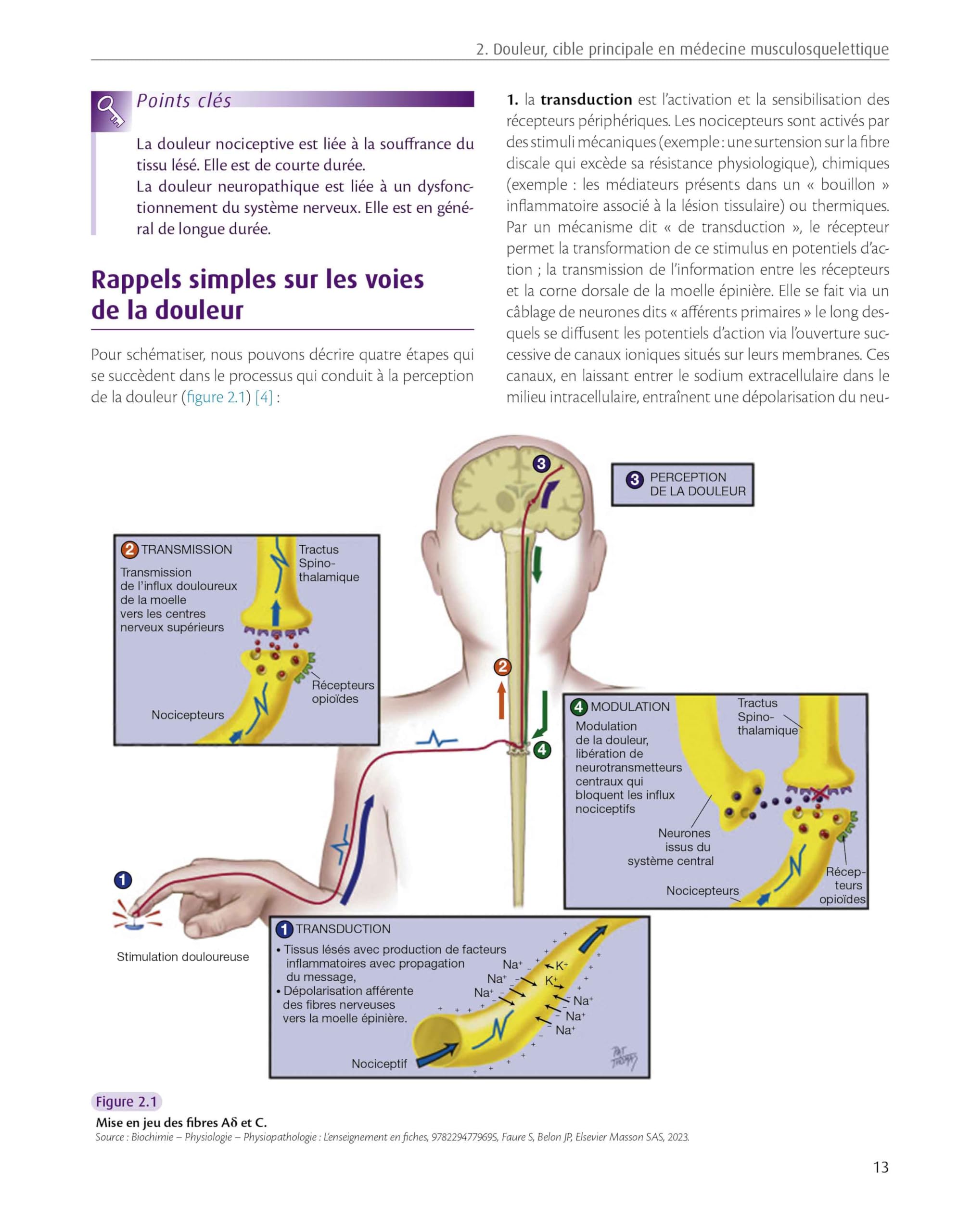 TMS du rachis lombaire: Troubles Musculo-Squelettiques - Thérapeutiques Manuelles Scientifiques