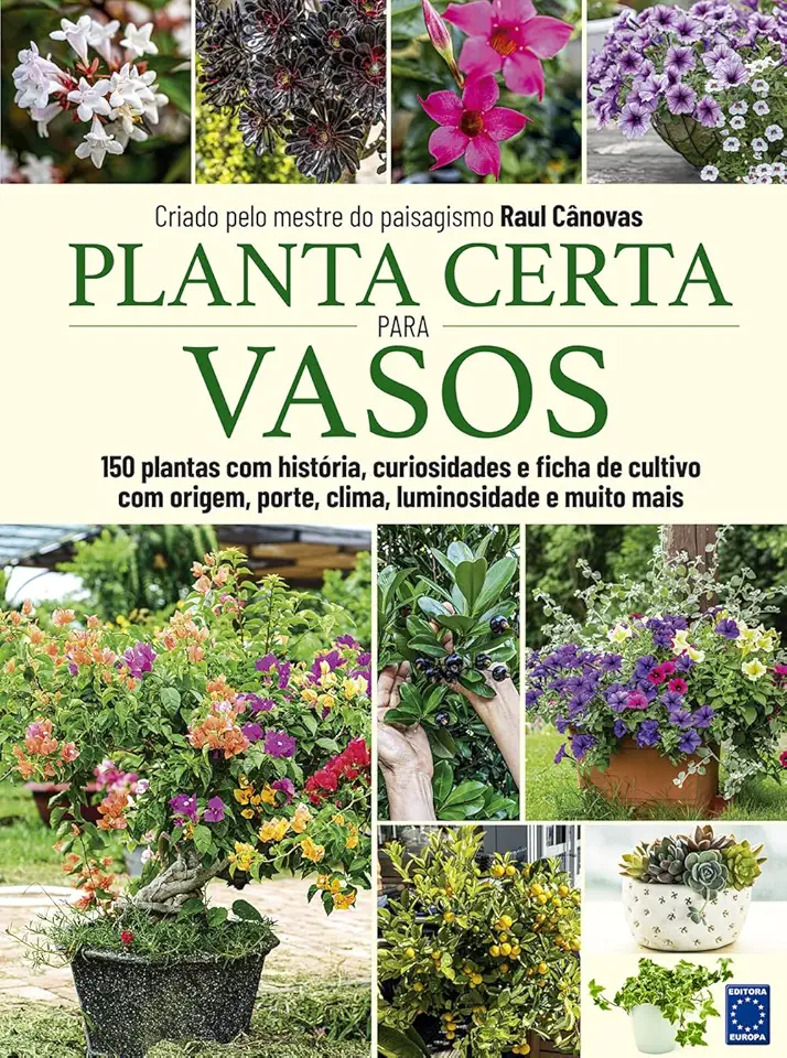 Planta Certa para Vasos