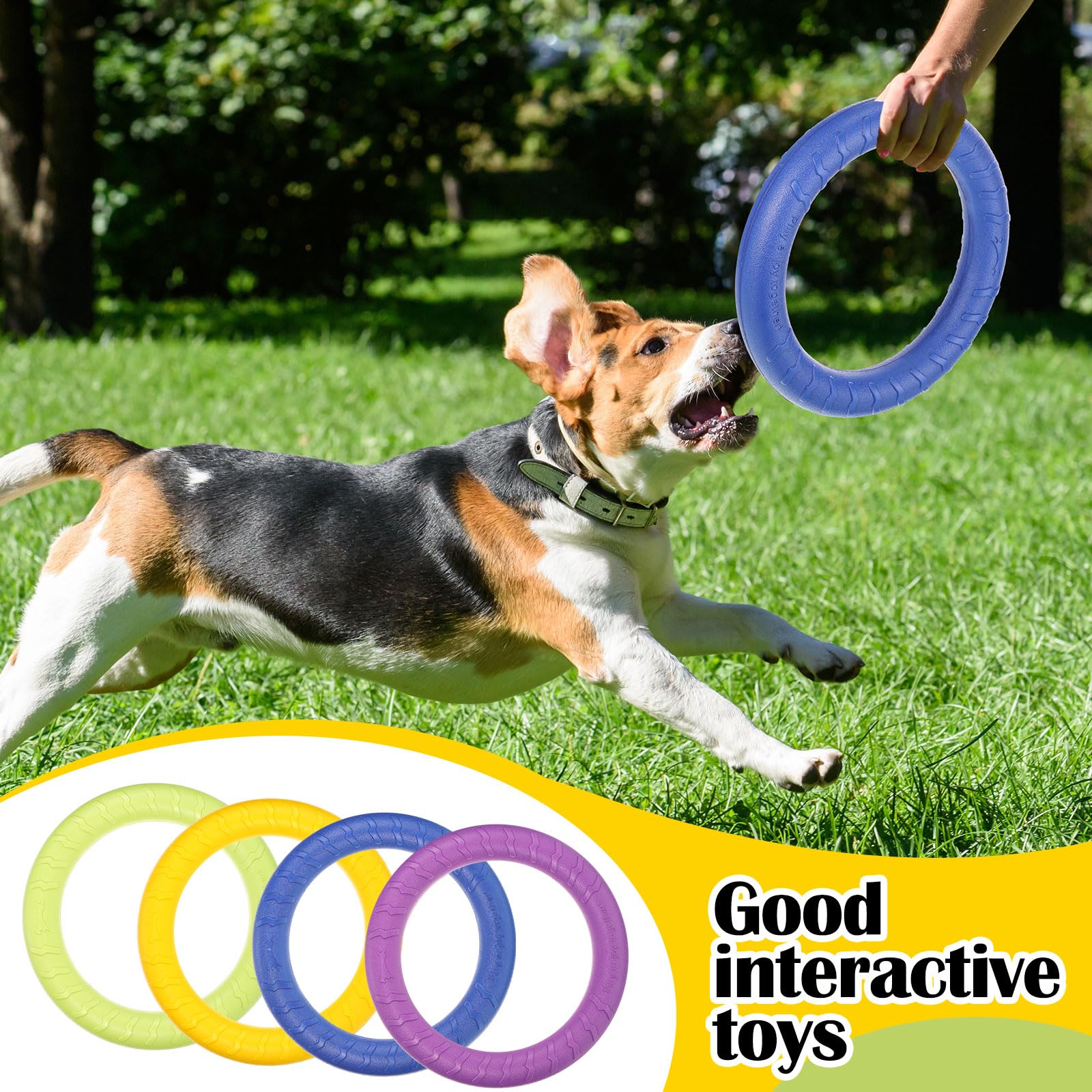 Liliful Lot de 4 jouets d'extérieur pour chien, anneau de dressage pour chien, disques volants à mâcher pour chiens agressifs de petite, moyenne et grande taille, dressage de chiot, lancer, attraper