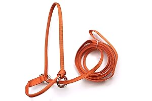 Miniature Donkey Adjustable Halter and Lead Set