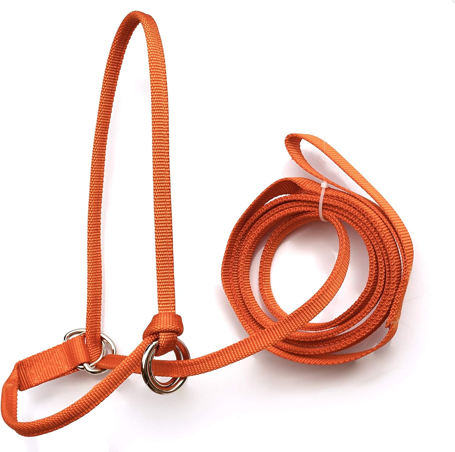 Extra Small - Sheep, Goat, Small Calf Adjustable Halter & Lead USA 250-700bs (Neon Lime Green)