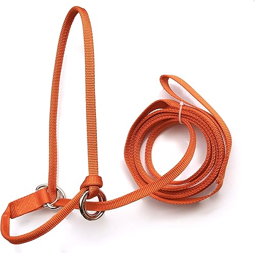 Halter-All Extra pequeño - Oveja, cabra, pantorrilla pequeña sin fin ajustable halter y plomo EE.UU. 250-700bs