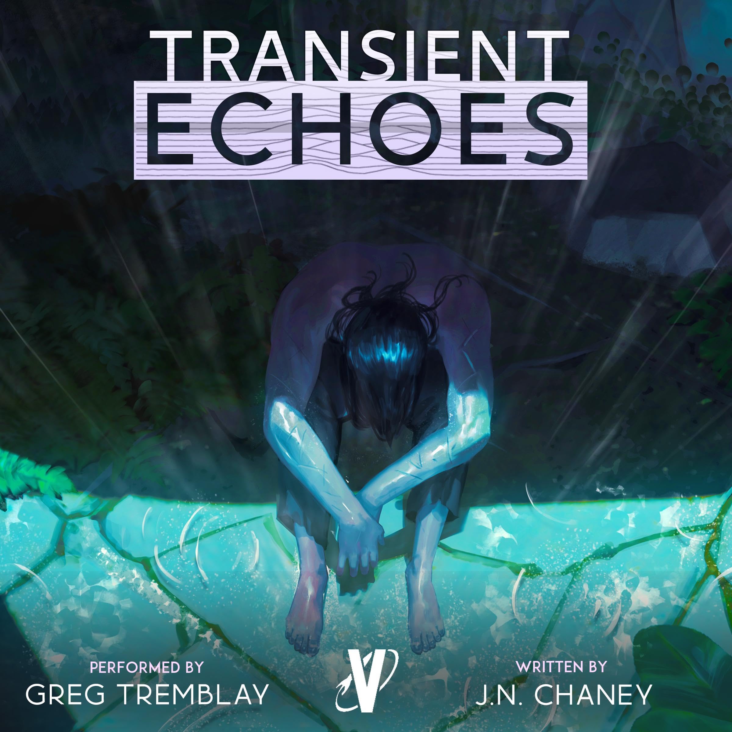Cover art for Transient Echoes