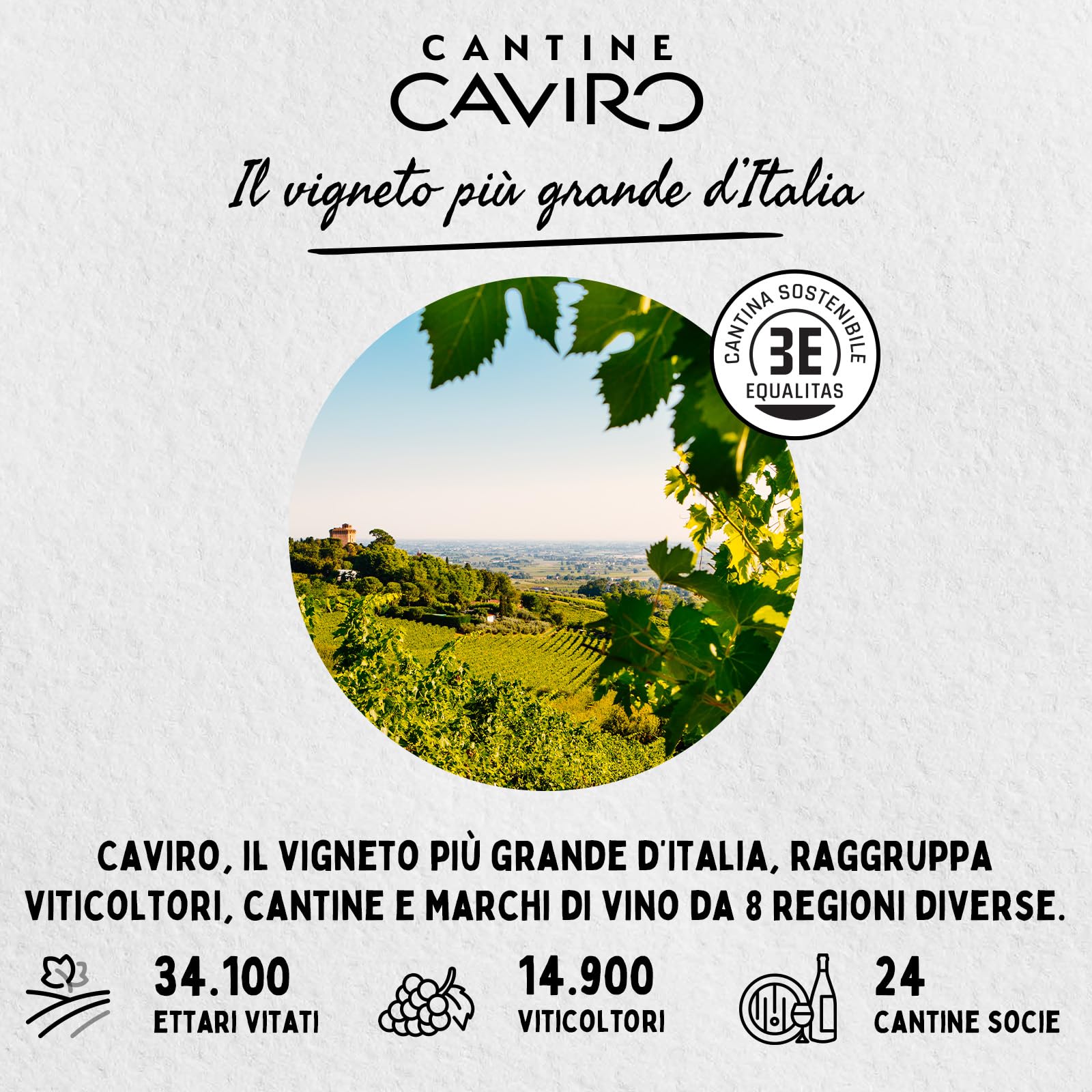 Tavernello Classico Vino Bianco d'Italia, Vino Secco con Profumi Fruttati, 10.5% Vol, Confezione con 12 Brik da 1 L