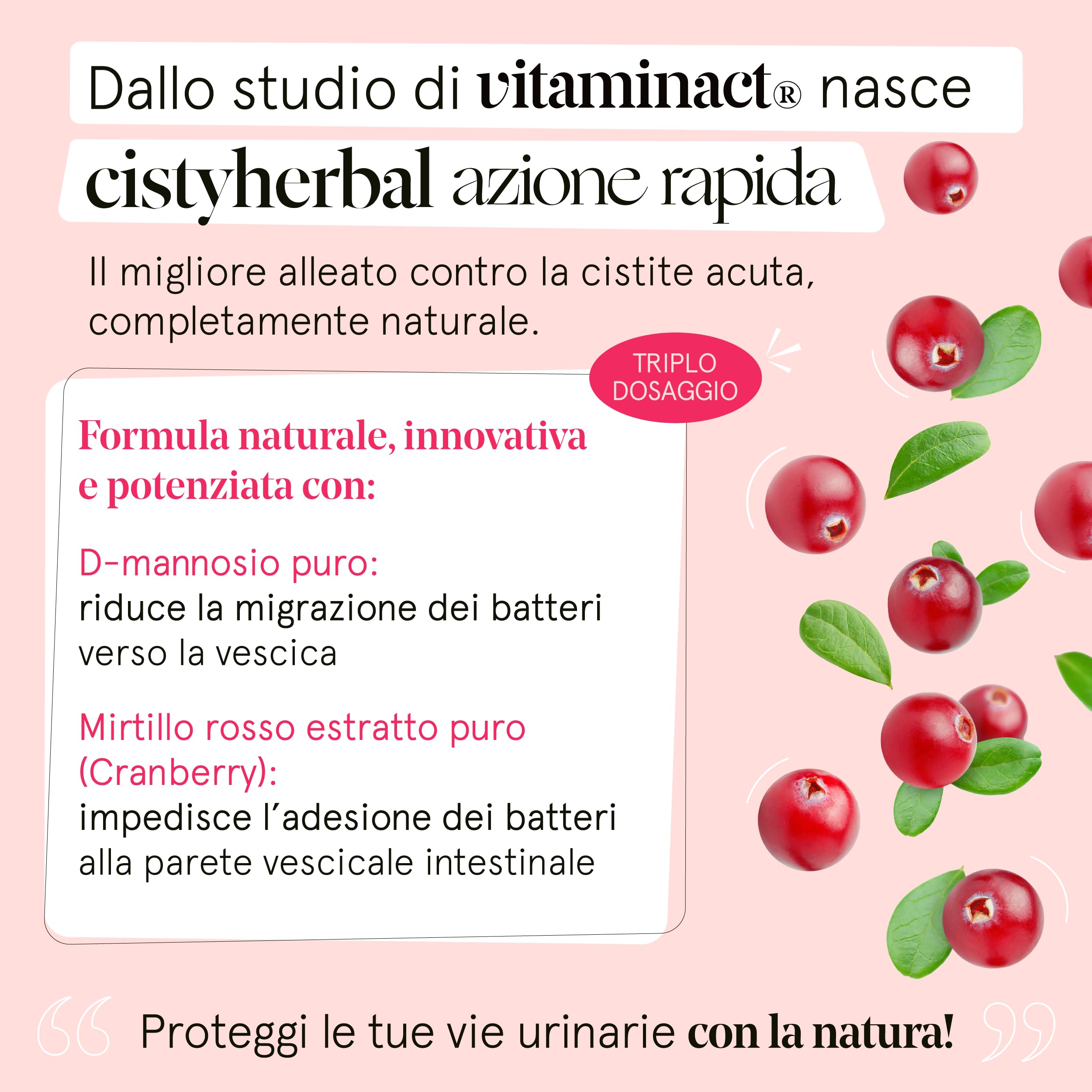 Cistyherbal, Integratore per Cistite Acuta, Candida e Infezioni delle Vie Urinarie| Contiene D mannosio Puro e Mirtillo Rosso ad Alto Dosaggio | Formula Studiata dai Migliori Urologi | Vitaminact