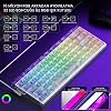 Aula Hero 68 He Manyetik Klavye Rapid Trigger Silver Switch 8000Hz RGB Neon TKL Hot Swap Oyuncu Klavyesi Şeffaf