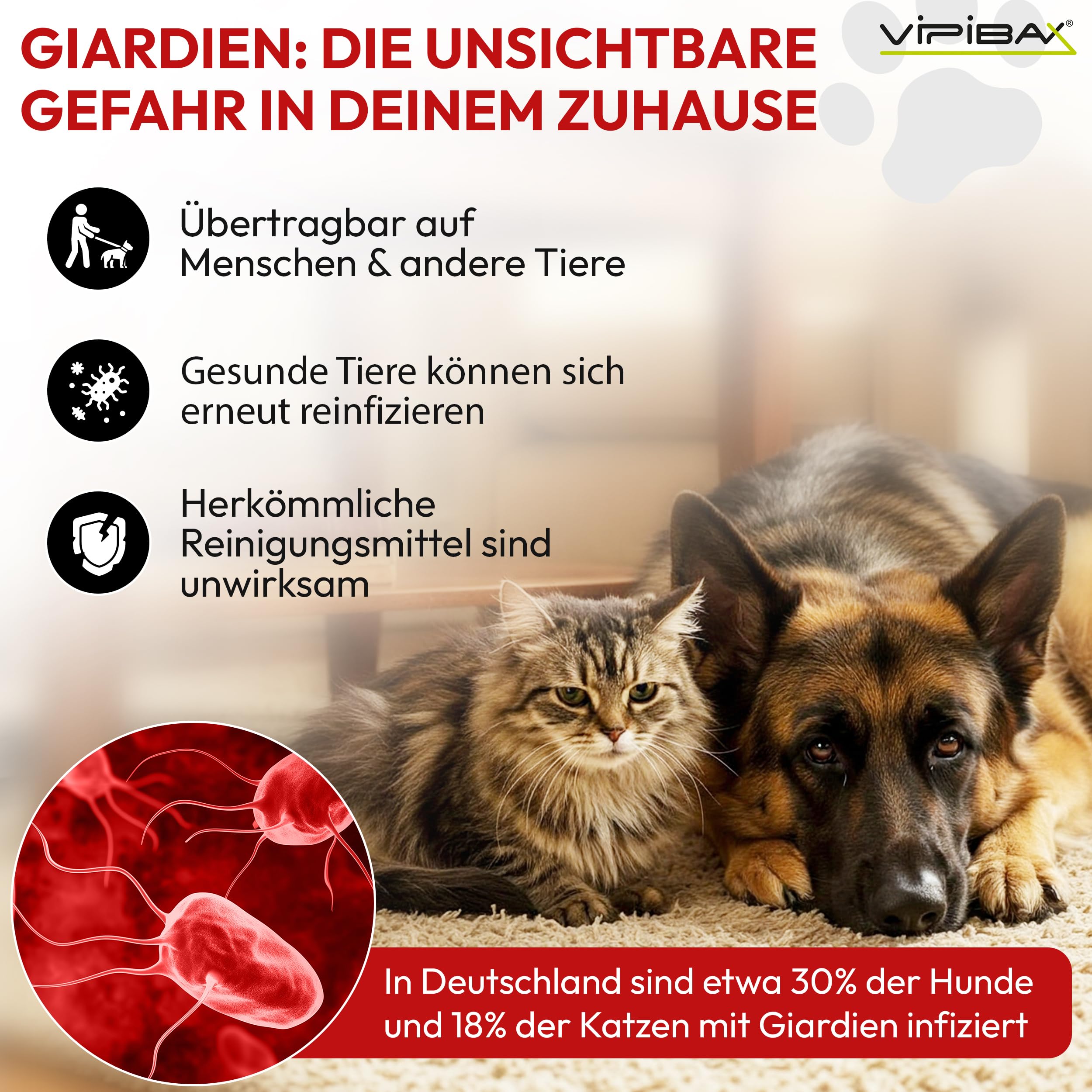 ViPiBaX Giardien EX Hygiene-Spray für Hund, Katze & Co - Geruchsentferner - Hygiene-Spray - Effektive Desinfektion gegen Giardien, Viren, Pilze & Bakterien - 500ml