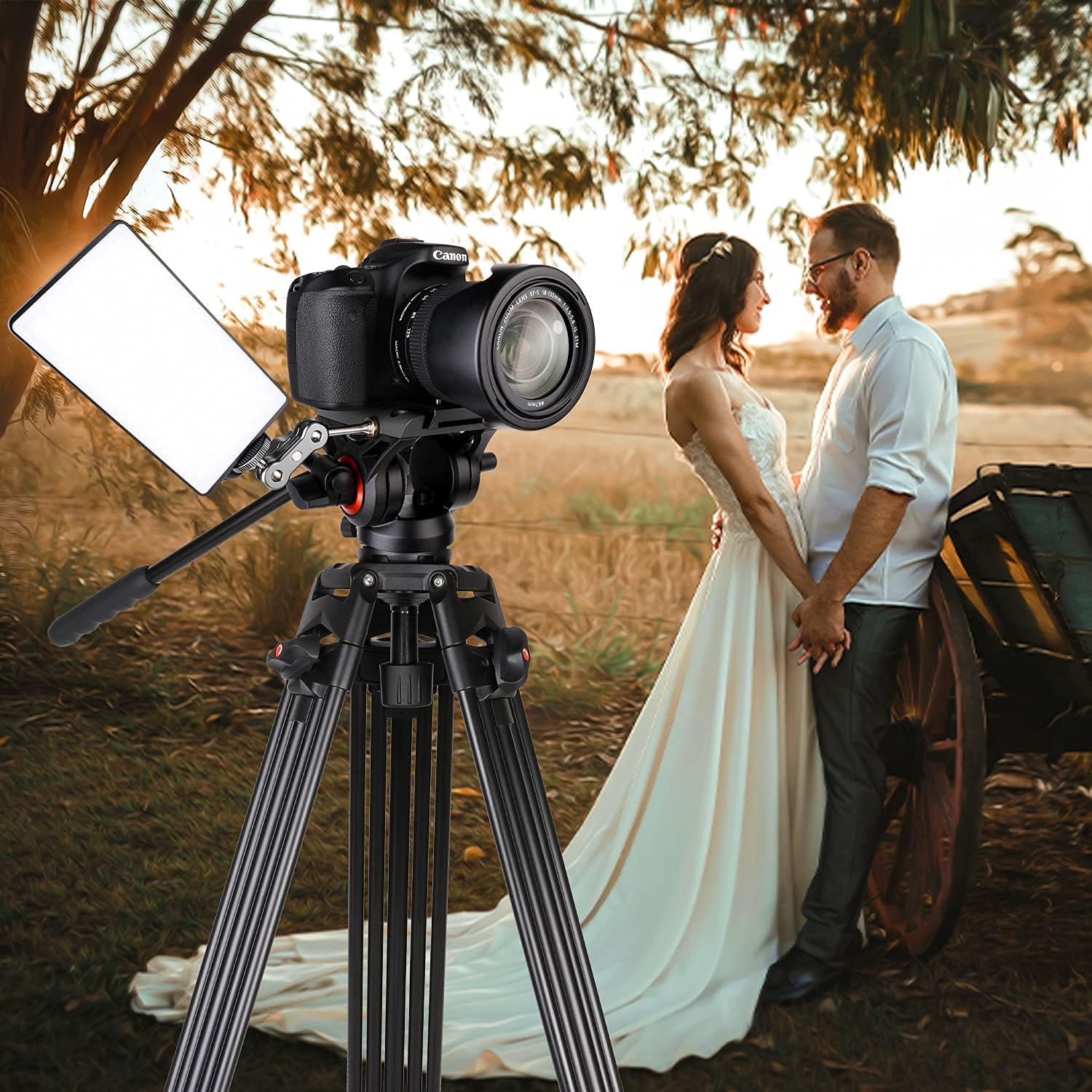Video Tripod, COMAN KX3636 74 inch Complete Tripod Units, Professional Heavy Duty Aluminum Tripod with 360 Degree Fluid Head and Mid-Level Spreader 13.2LB Load for DSLR, Camcorder, Cameras and More : Electronics