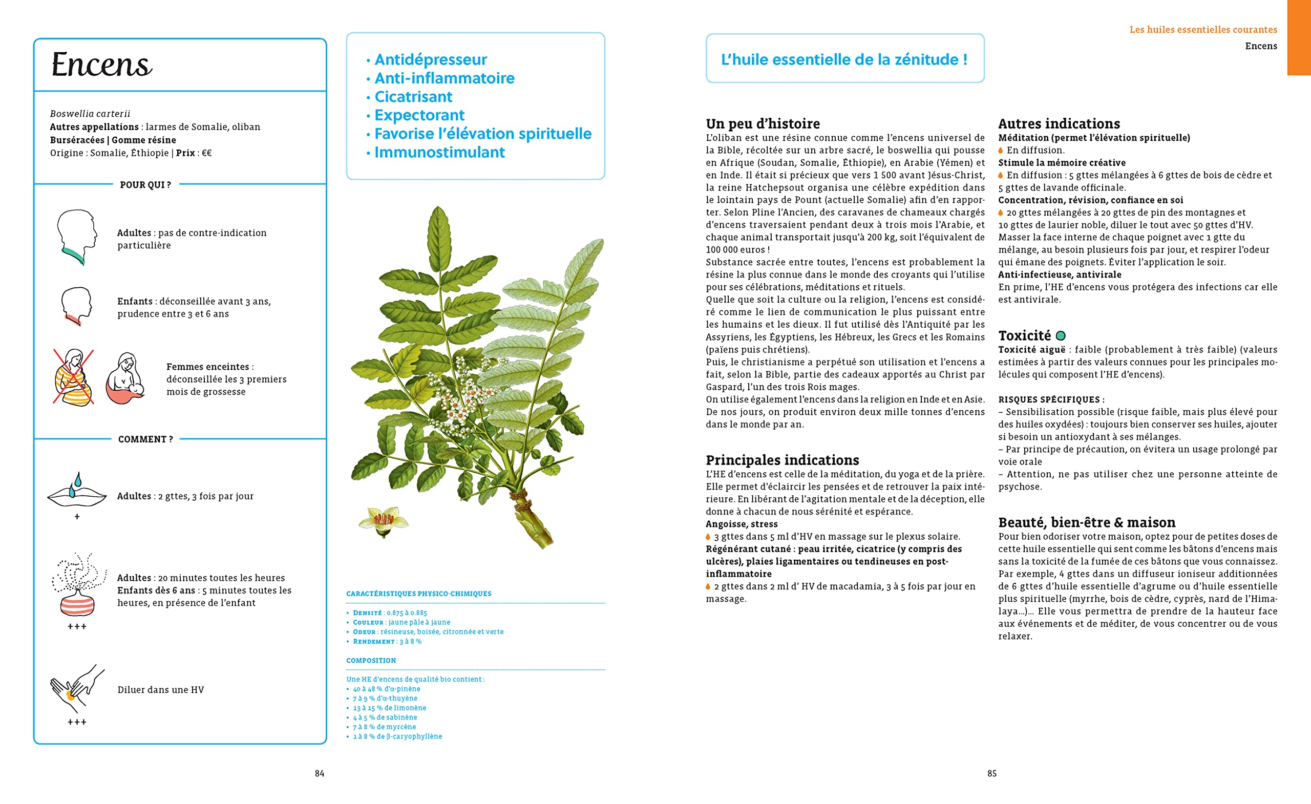 Le guide Terre vivante des huiles essentielles: 135 huiles essentielles + 600 synergies pour la santé et le bien-être = le meilleur de l'aromathérapie
