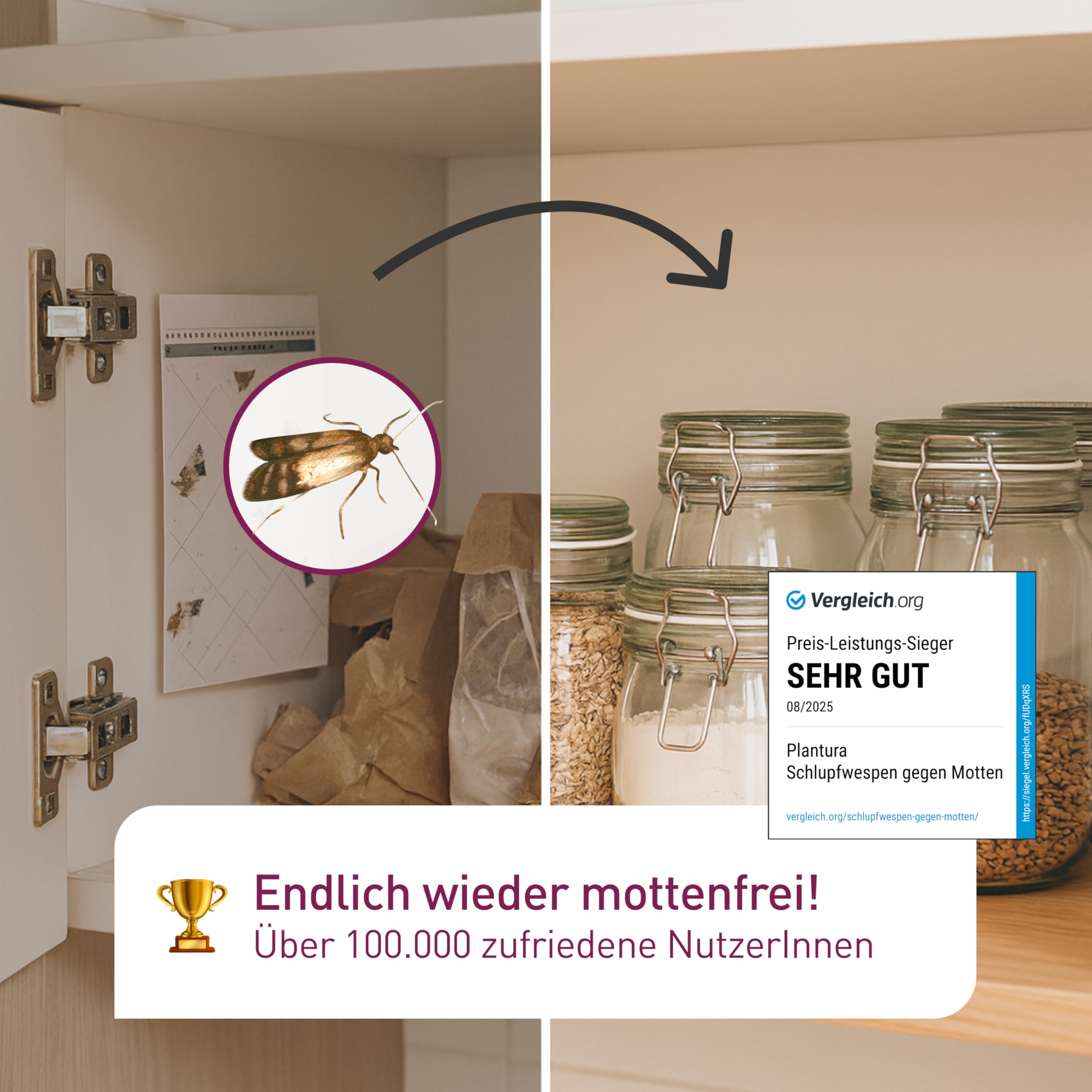 Plantura Schlupfwespen gegen Lebensmittelmotten, Komplett-Lösung mit 9 Karten (3 Karten à 3 Lieferungen) - hochwirksame & nachhaltige Bekämpfung, Alternative zu Mottenkugeln