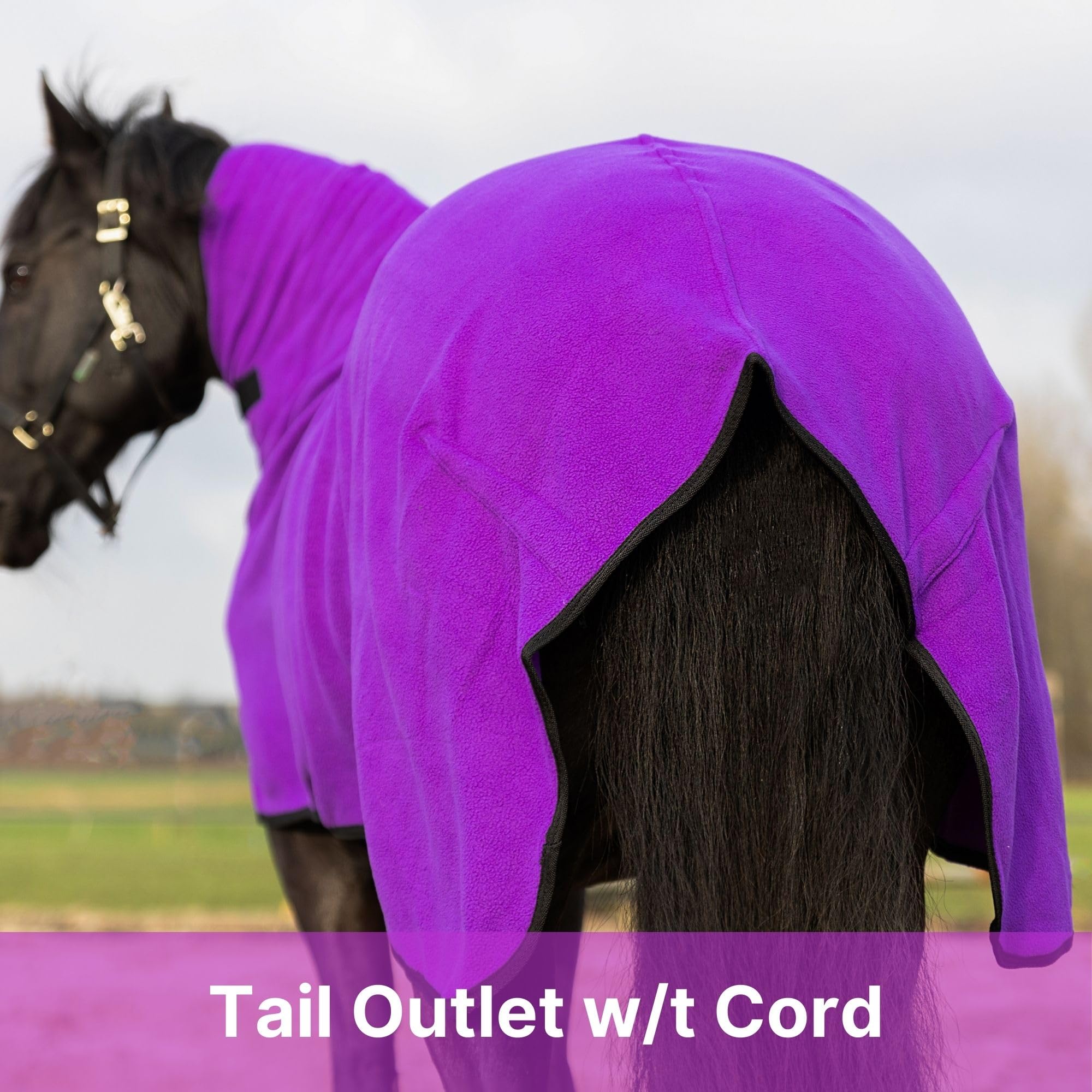 RESISTANCE Enfriador de contorno de forro polar suave de larga duración y cálido para caballo (XL (80-82 pulgadas), morado