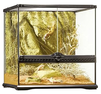 Amazon.com: Exo Terra Glass Natural Terrarium Kit, for
