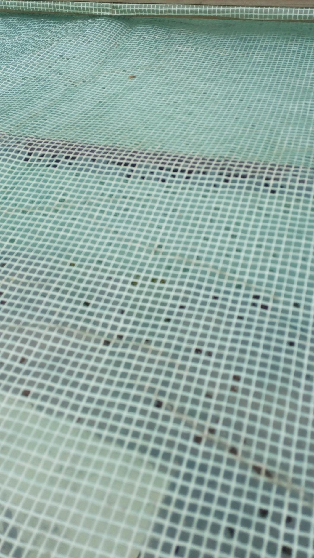 Aquagart Gitterfolie 6 x 3 m grün ab 50,09 € | Preisvergleich bei