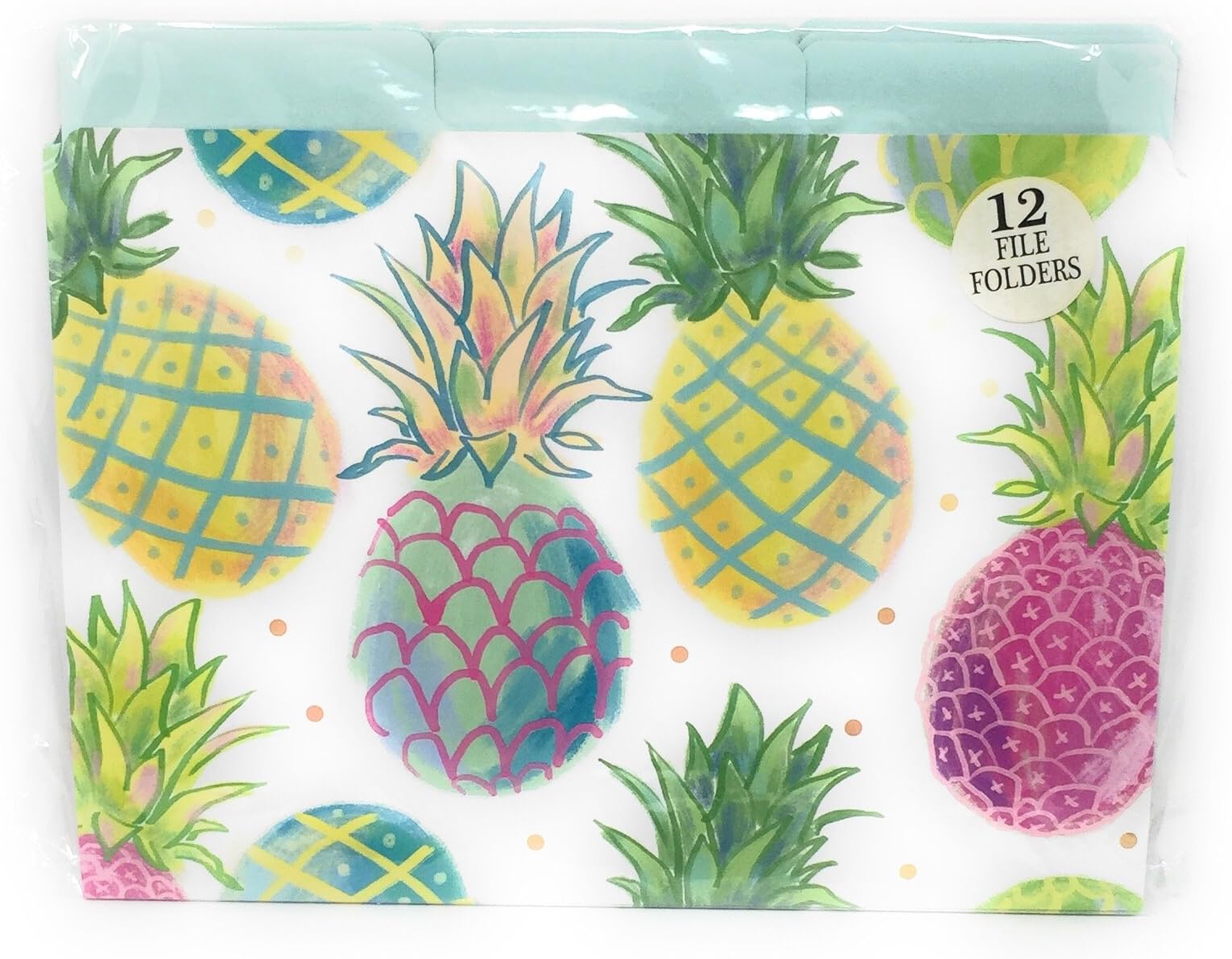 Molly & Rex Colorful Pineapples File Folders Set of 12