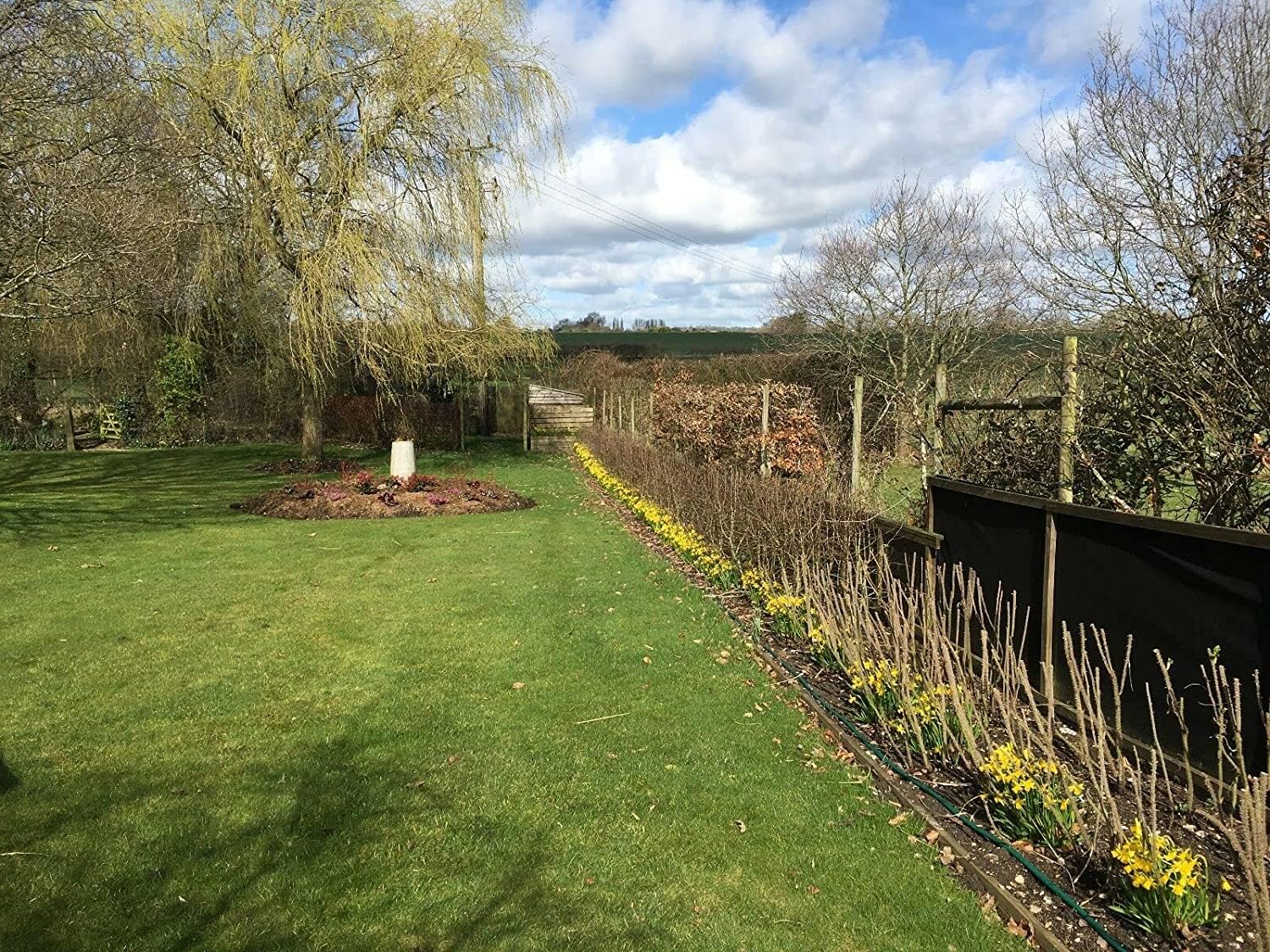 F&G Supplies Our Best Value Mixed Native Hedgerow Plants Bare Root Saplings Grade A Whips - just Choose The Size of Plants You are After and The Number of 25 Plant Packs You Need! (1-2ft)