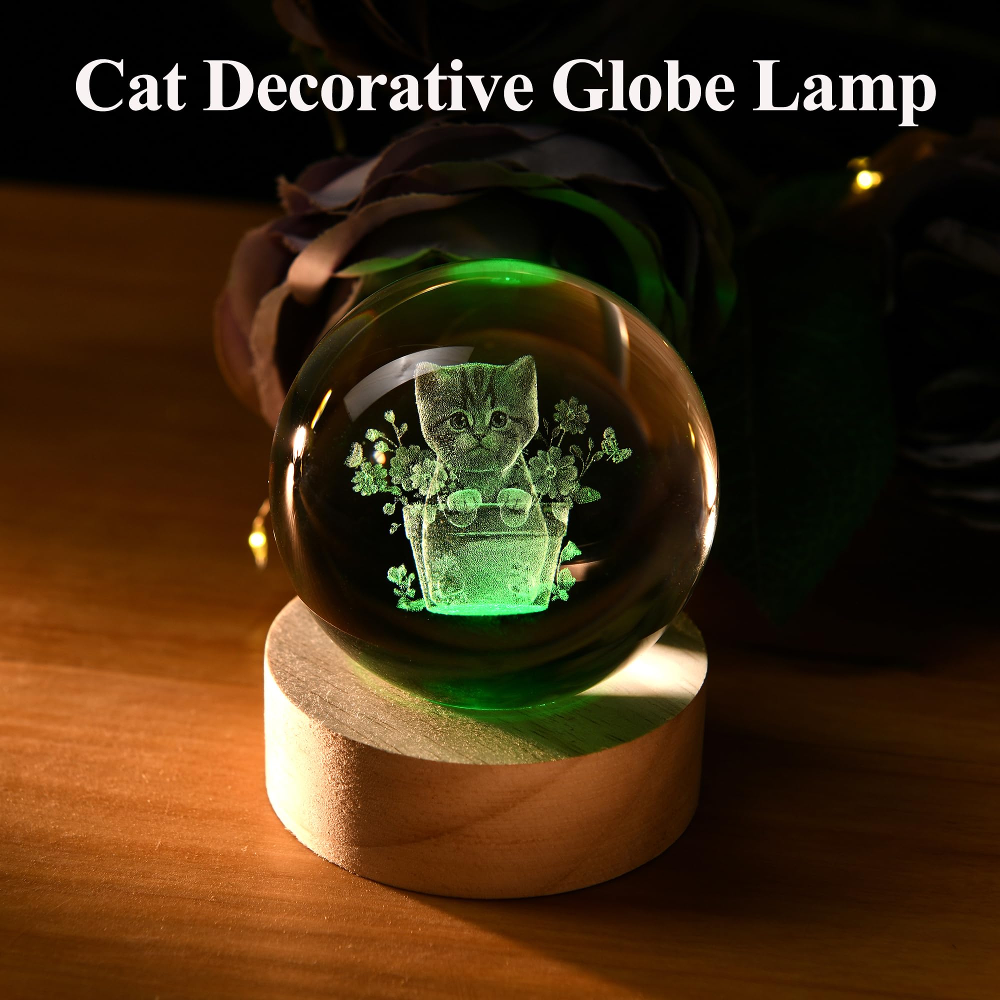 Boule Cristal 3D Avec Fée - Décoration Intérieure Lumineuse LED - Cadeau Magique Pour Fille, Anniversaire, Noël