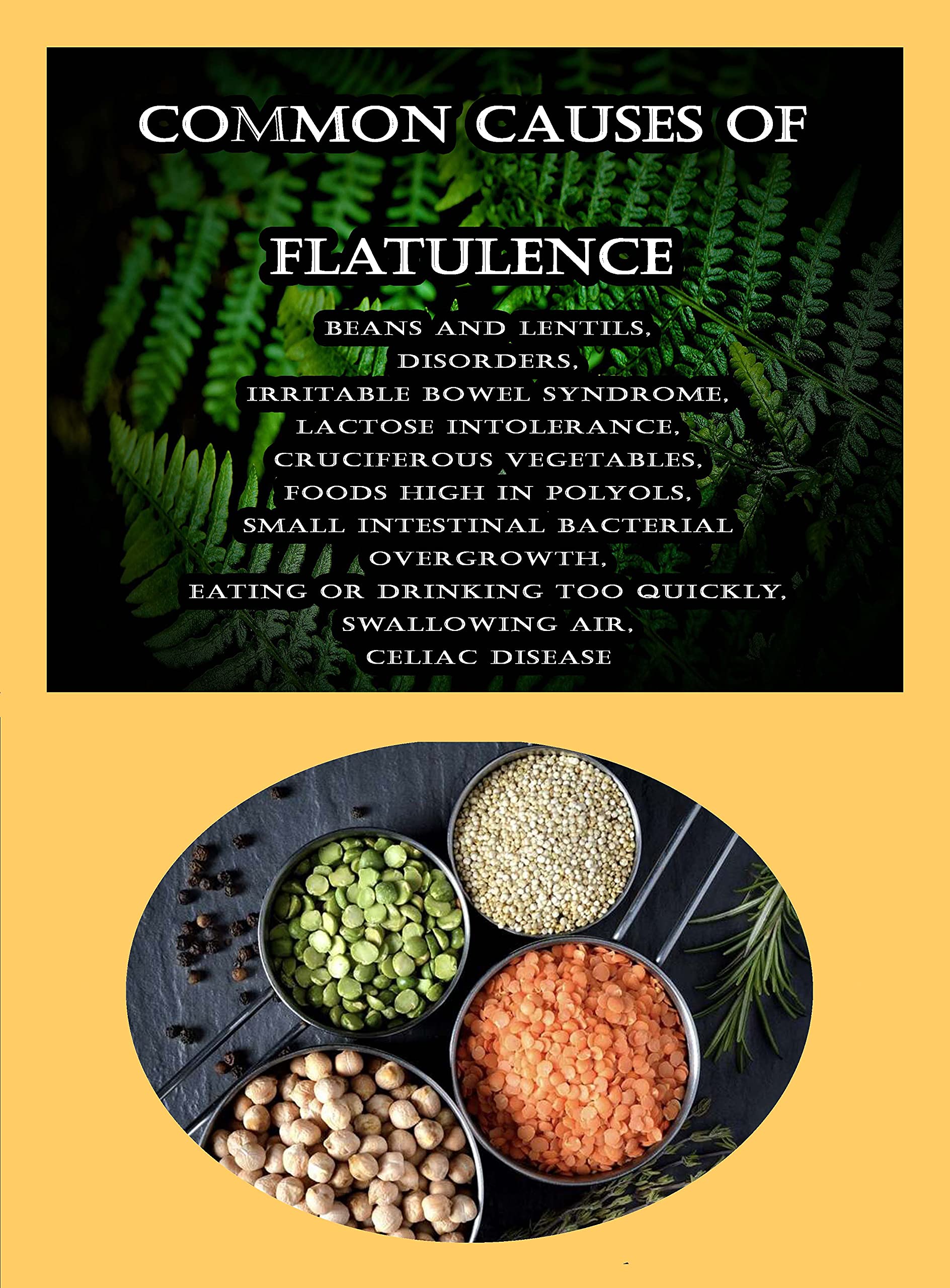 Buy Common Causes Of Flatulence Beans And Lentils, Disorders