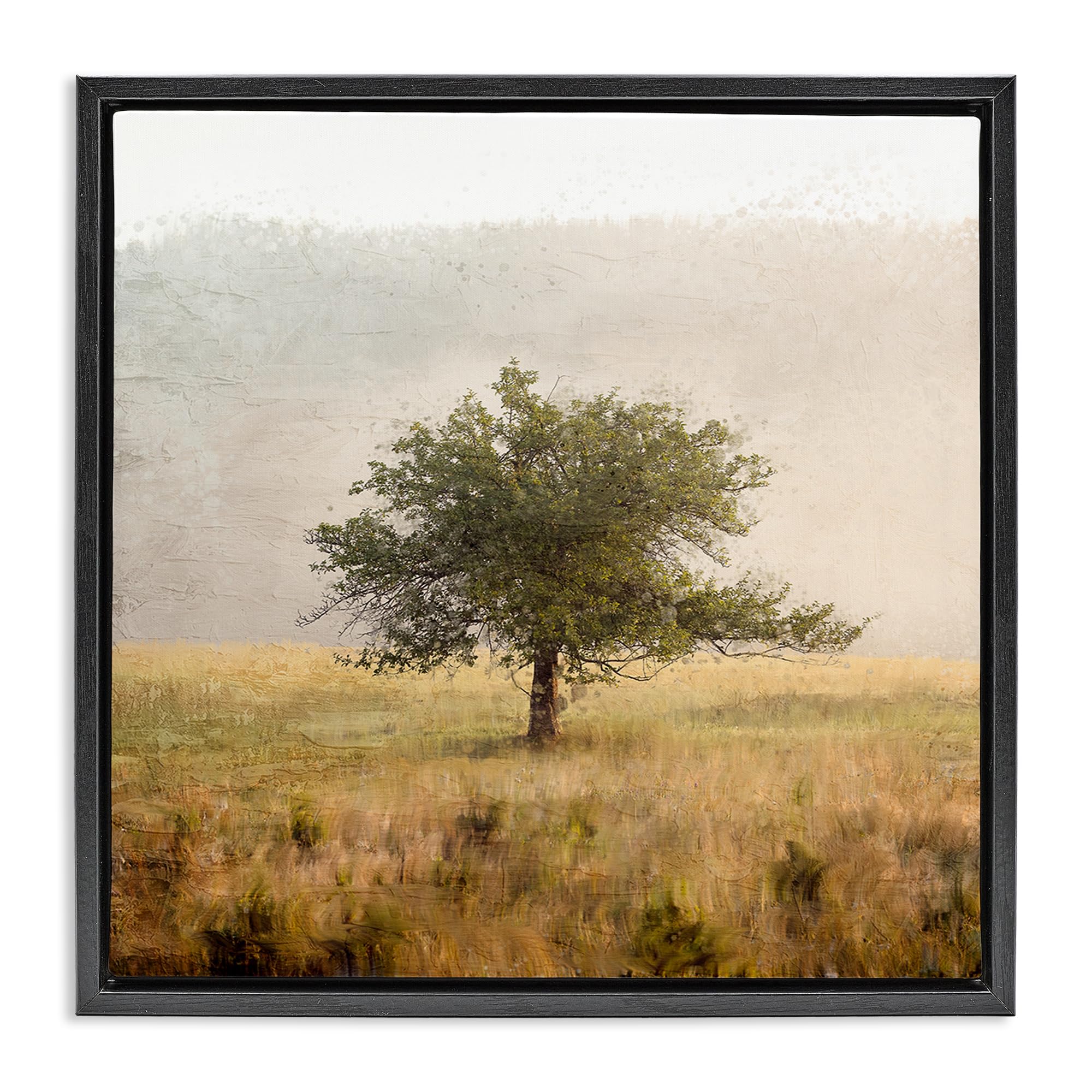 Stupell Industries 'Tree Alone in Golden Field', Floating Frame Canvas Art, Black, 25 x 25 Inches, Easy to Hang and Sturdy, Made in USA, by Anne Bailey