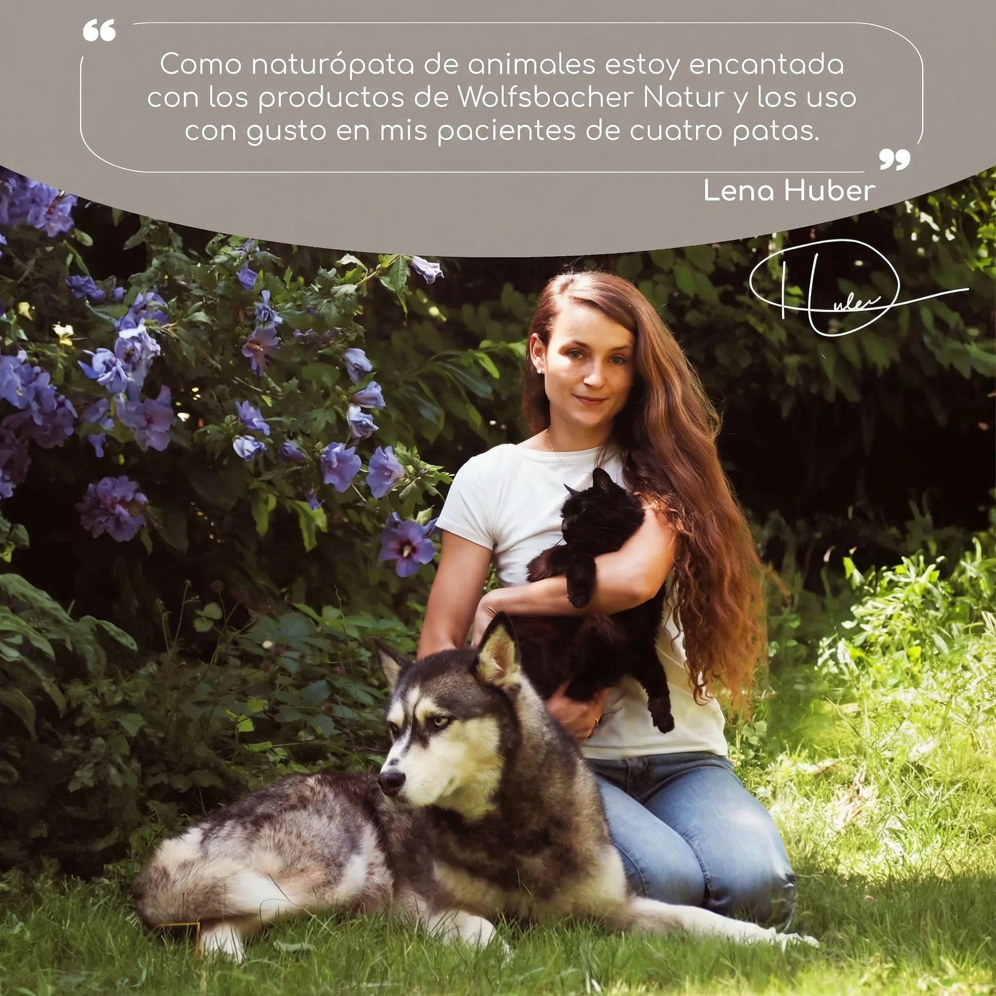 Aceite de comino Negro ecológico para Perros 500ml - prensado en frío, 100% Cultivo biológico, en Botella de Vidrio con gotero - Puro Aceite Egipcio de Nigella Sativa