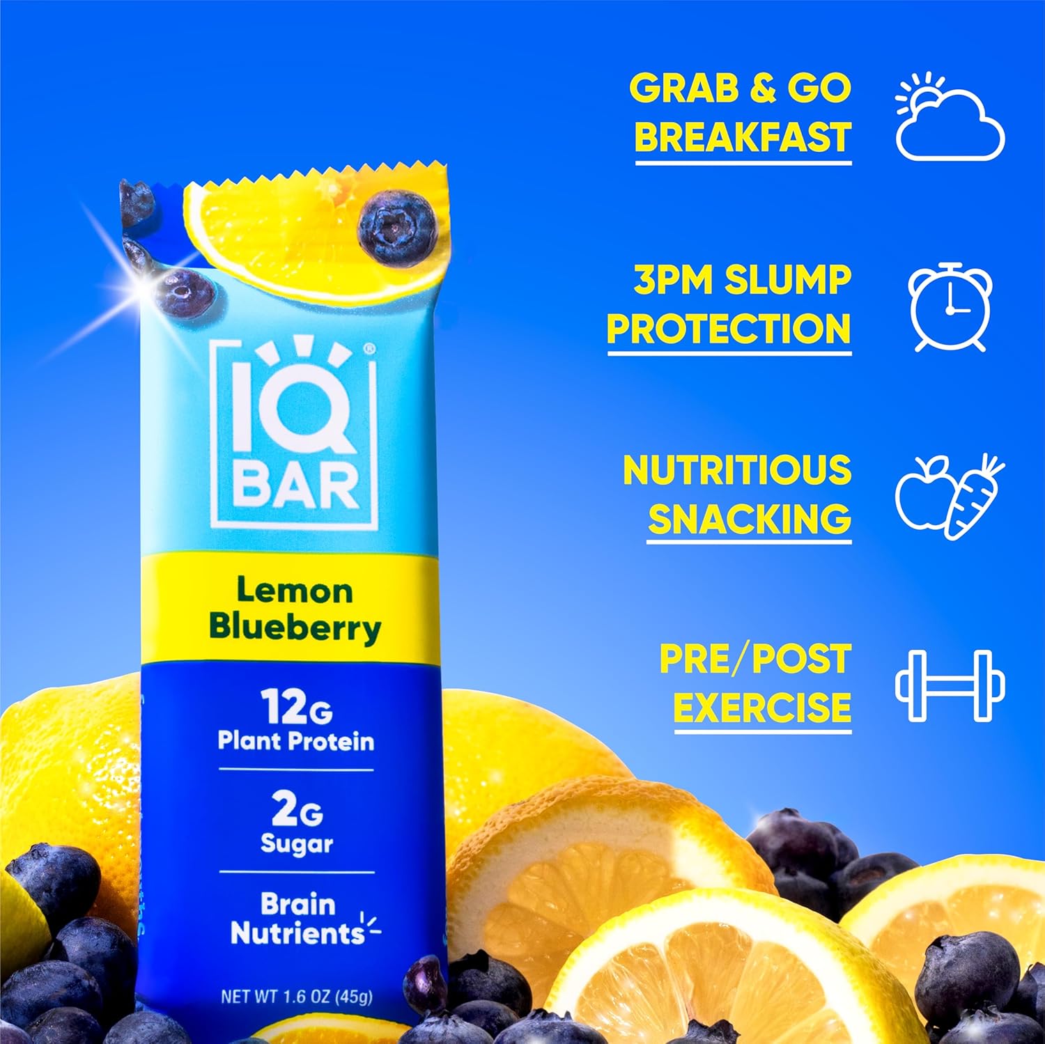IQBAR Clean Plant Protein Bars - Banana Nut + Lemon Blueberry 12 Count Bundle - Keto, Vegan, High Fiber, Gluten and Dairy Free, Low Sugar Snack - Brain and Body Nutrients for Focus, Energy