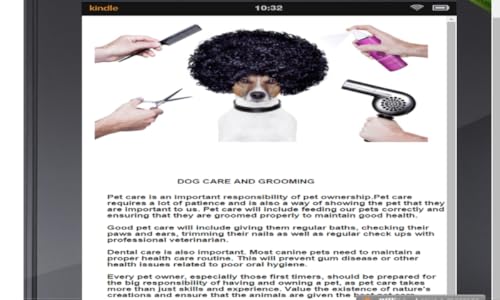 How to care for your dog from puppy to adult