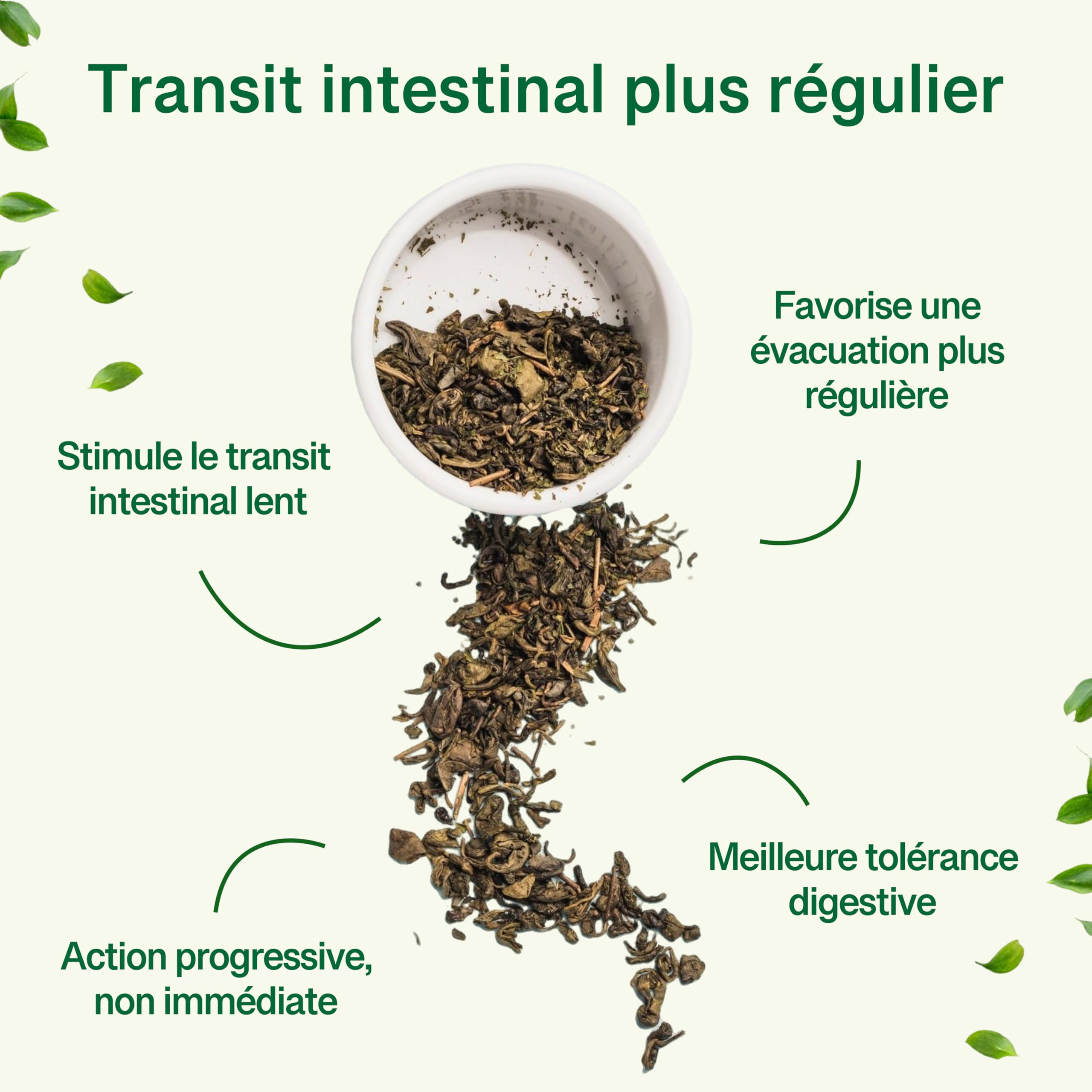 Nature Slim Tea Extra-Forte – Tisane Detox & Transit Intestinal 30 Infusettes – Feuille de Mauve & Feuille de Cassia – Laxatif Naturel Doux – Thé Minceur sans Crampes, Constipation, Perte de Poids