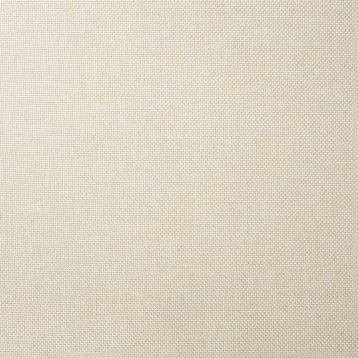 chilly pilley® Cojines para Muebles De Ratán, Cojines De Jardín, Respaldos, Muchos Tamaños Y Muchos Colores 50x40, Crema