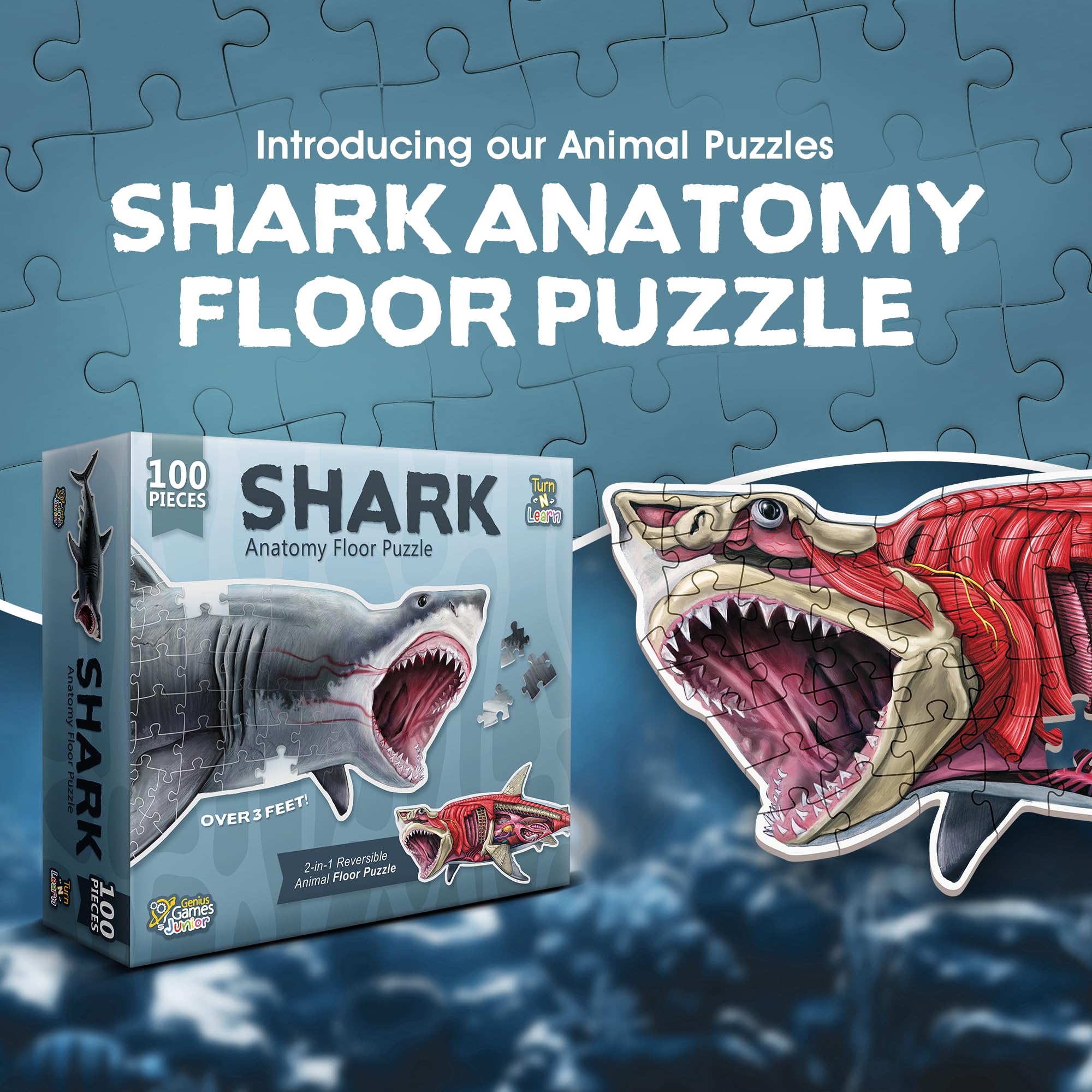 Shark Anatomy Floor Puzzle - 100 Piece Kids Puzzle -2