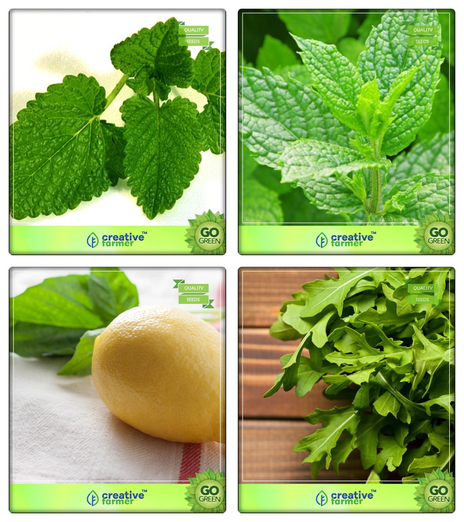 Creative Farmer Herbal Plants Seeds For Home Garden Lemon Balm, Mint, Lemon Basil, Wild Rocket Herb Seeds Combo Pack (B078VBTCNF) Amazon Price History, Amazon Price Tracker