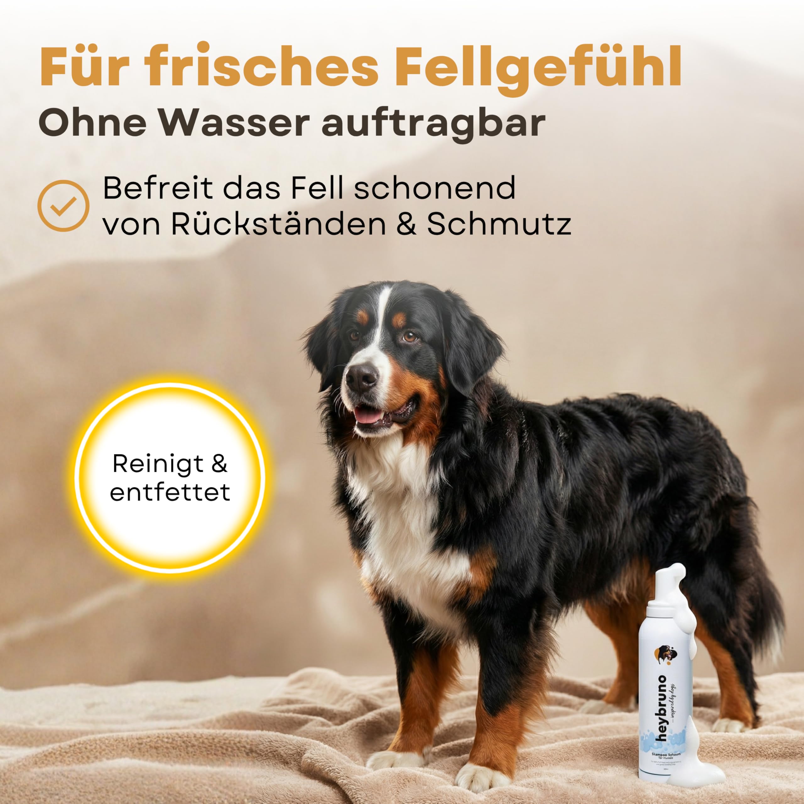 XXL Bundle Pfotenpflege und Fellpflege Set für Hunde - Pfotenreiniger 150ml mit Bürste - Pfotenbalsam und Nasenbalsam - Trockenshampoo Schaum - Hundeshampoo 200ml - Hundekamm für Langhaar