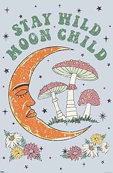 MOON CHILDリーフレット Yahoo!オークション - 映画チラシ「MOON CHILD ムーンチャイルド