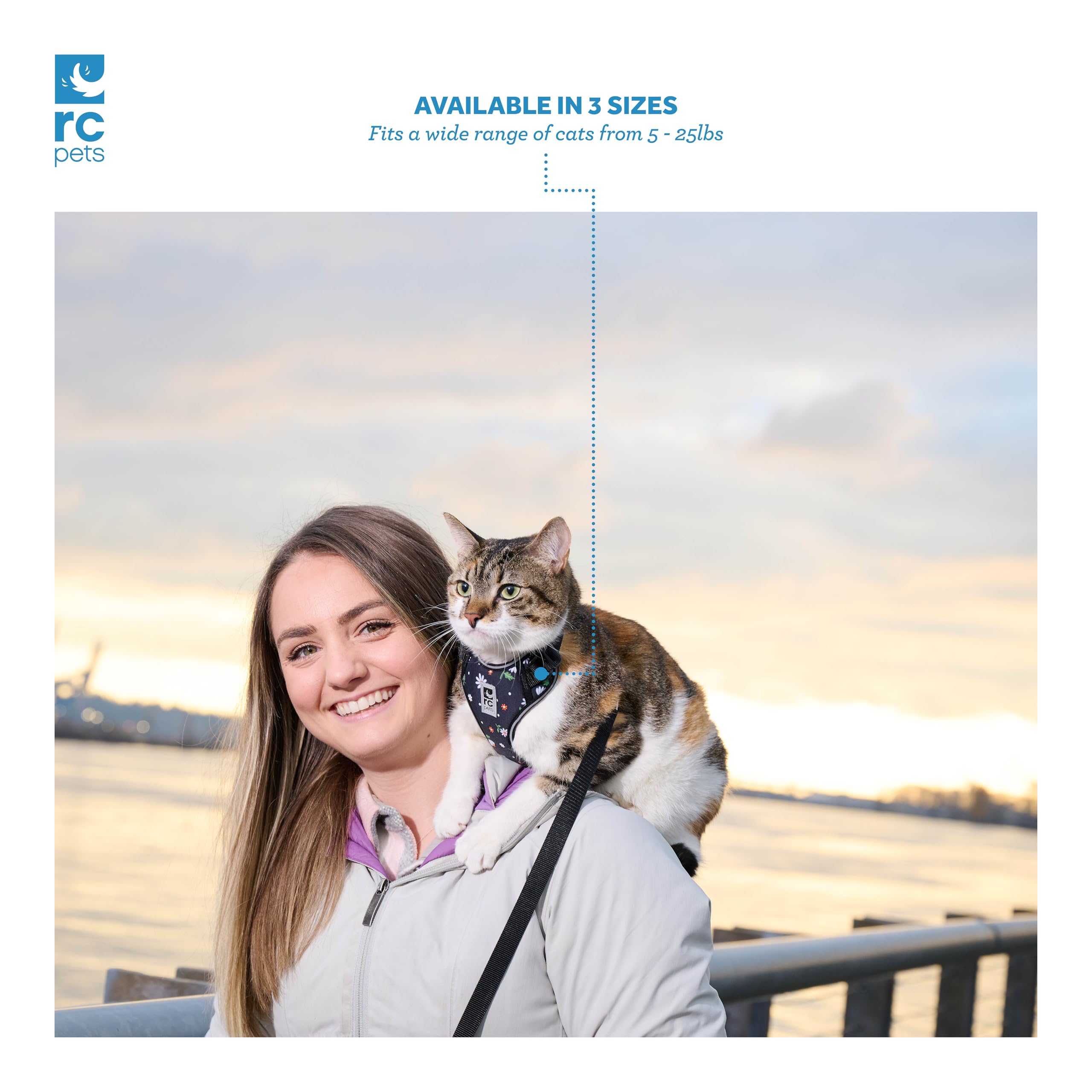 RC Pet Products Adventure Kitty - Arnés para pasear Gatos, Mediano, Margaritas (53804347)