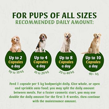 Marine Collagen for Dogs, 120 Capsules x 500mg, Skin, Coat & Gums Support
