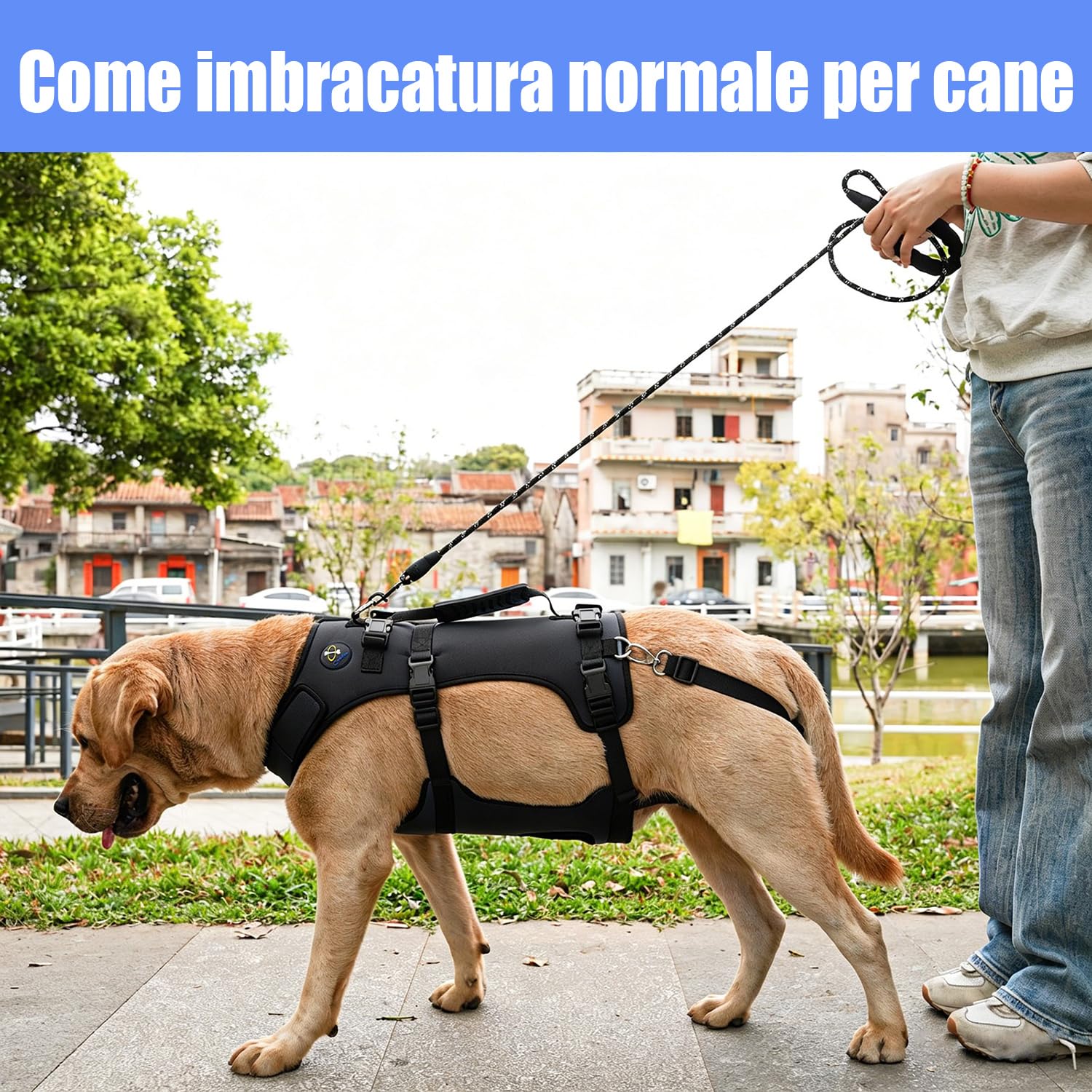 COODEO Imbracatura per Cane, Gilet di Supporto Completo e Recupero, Regolabile e Traspirante, per Cani Anziani, Disabili, con Lesioni Articolari, Artrite e Paralisi. (Nero, L)