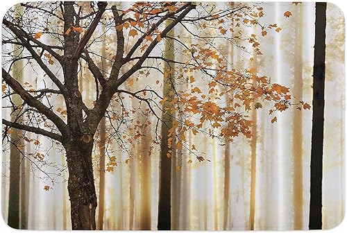 Bath Mats Outdoor Indoor Kitchen Mat, Autumn Maple Forest Entrance Doormat Non-Slip Bathroom Rugs Washable Floor Mats,Microfiber Memory Foam Bath