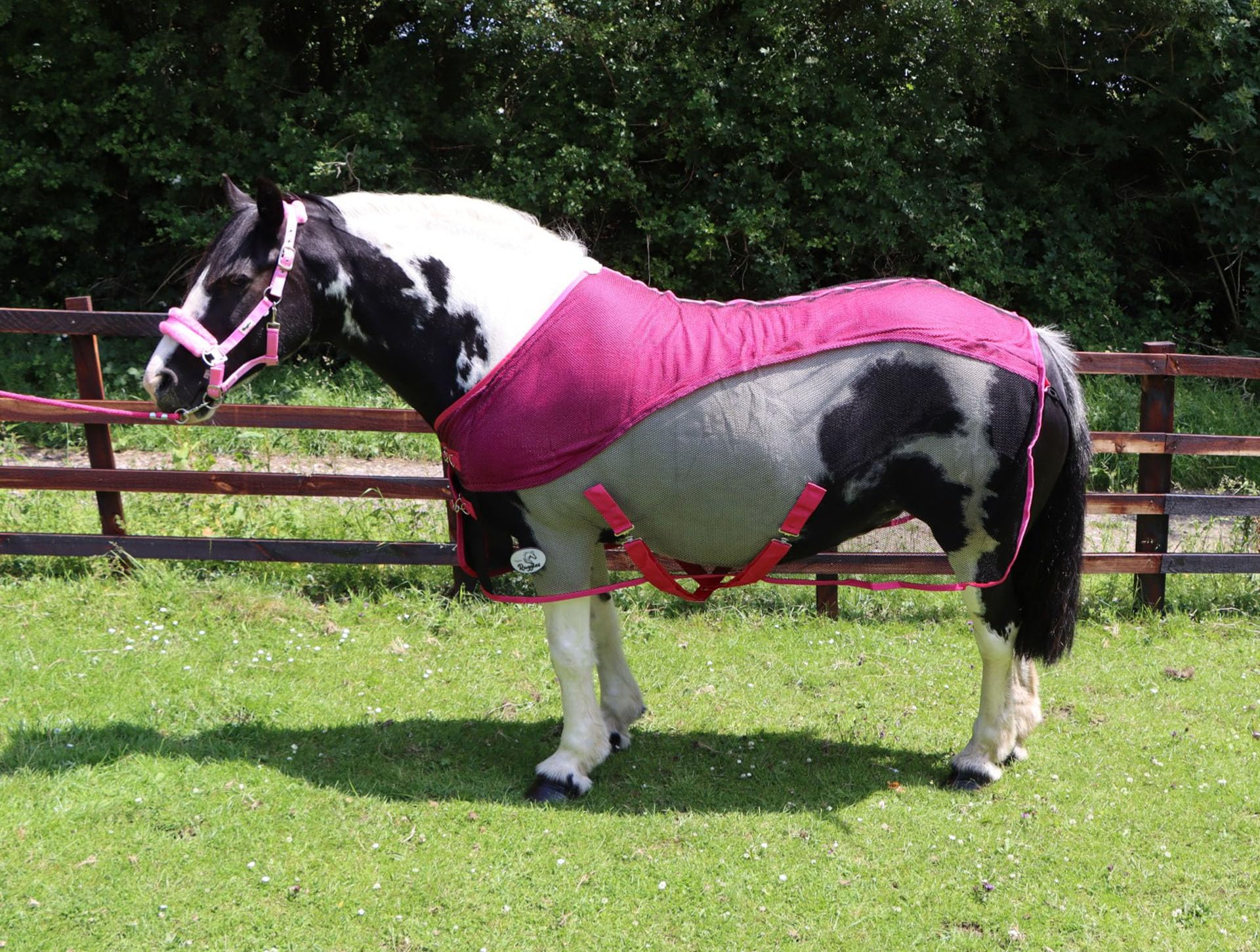 Ruggles Fleece/Mesh Cooler Rug for Heavy Horses - Shire Clydesdale Percheron etc | Ideal for Travel Stable Cooling/drying after Exercise or Bathing (Black/Pink, 6' 9")
