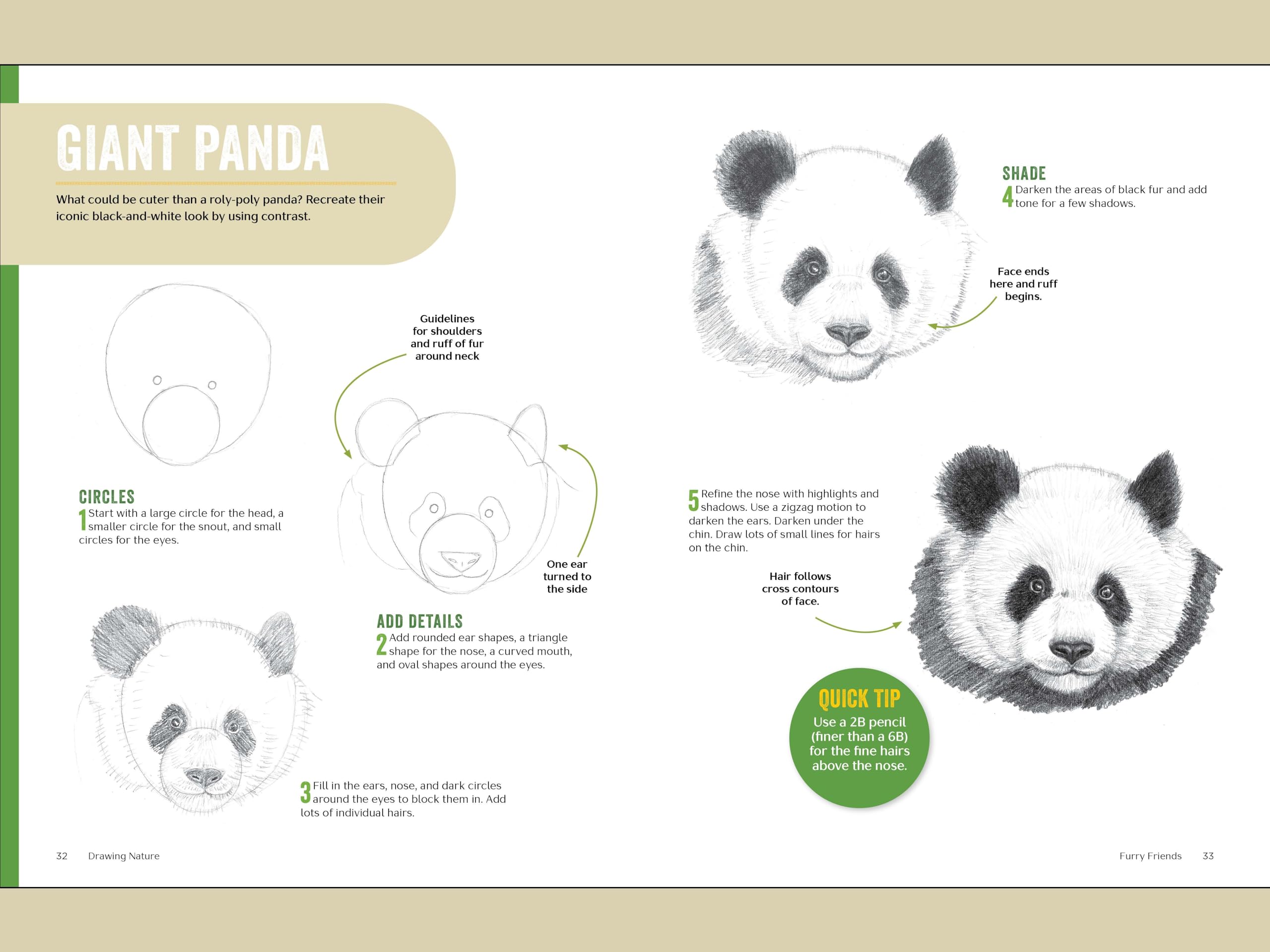 Drawing Nature: The Quick and Easy Way to Draw Animals, Plants, and More (The 15 Minute Artist)