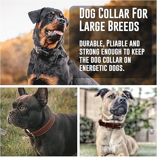 Miniatura 4 de Hides & Knives Collar de perro de cuero con herrajes reforzados, collares de perro resistentes para todas las razas, hecho de cuero genuino de grano